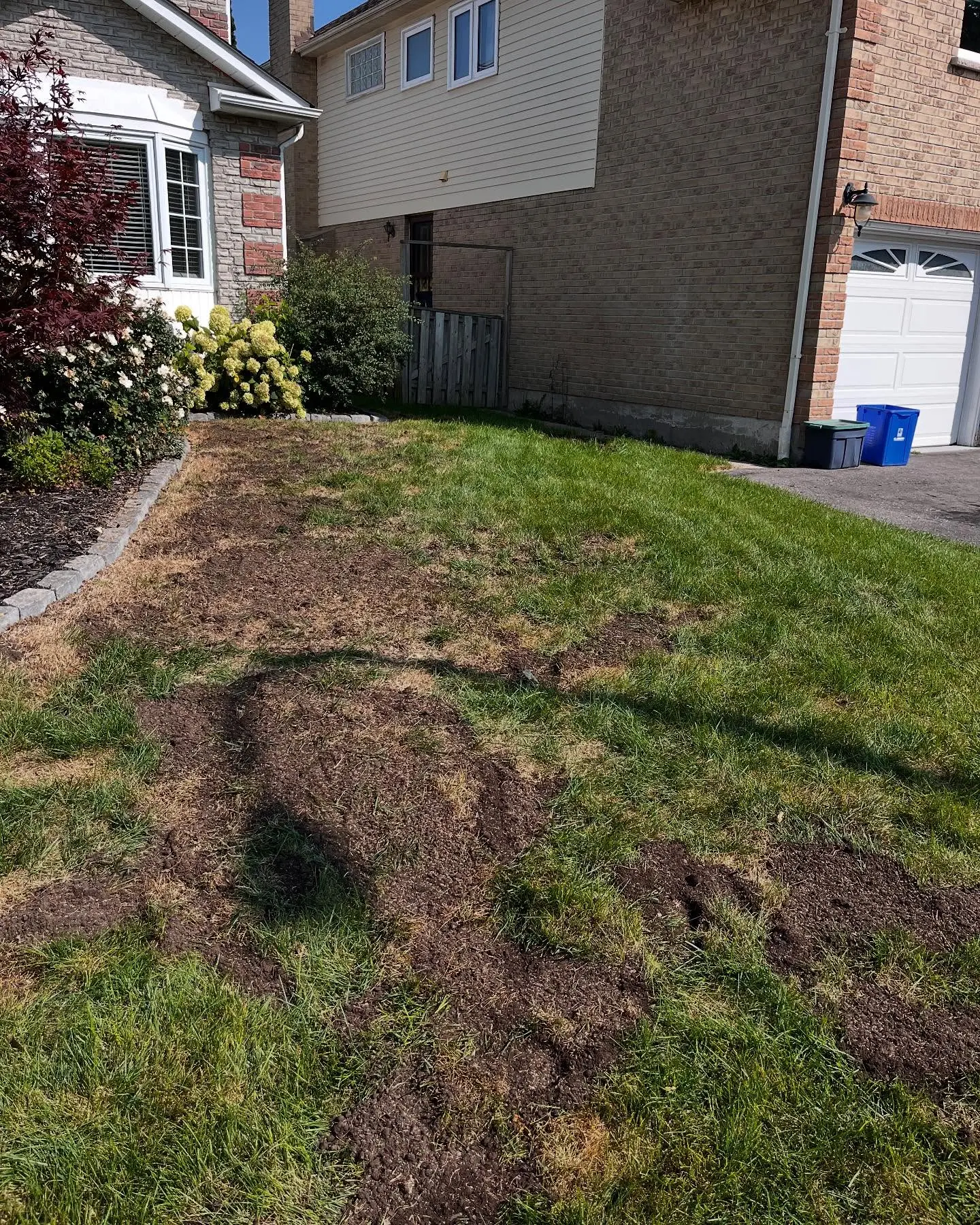 In the fall of last year, a client contacted us seeking assistance in restoring their lawn.