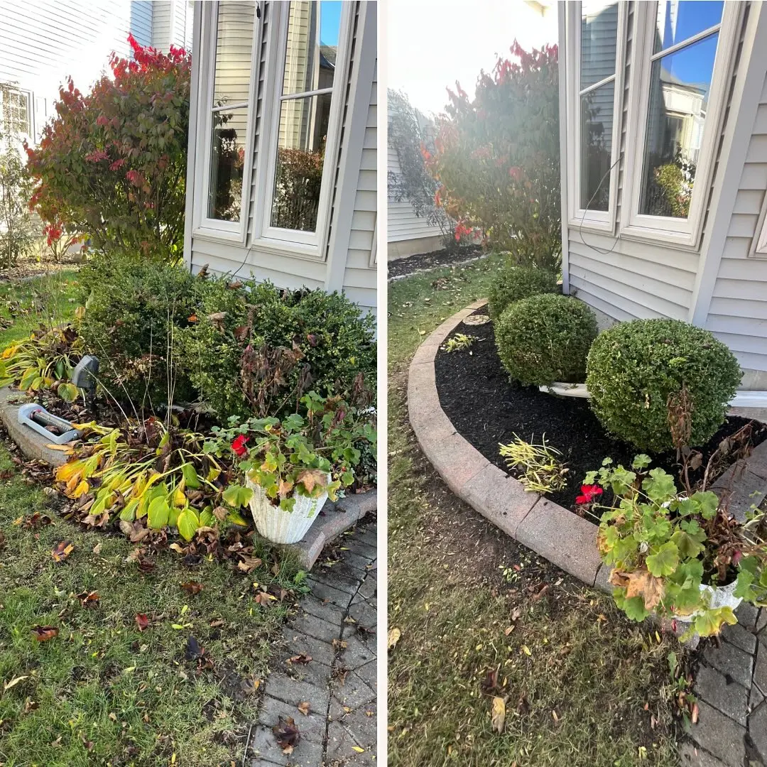 Garden bed refresh!