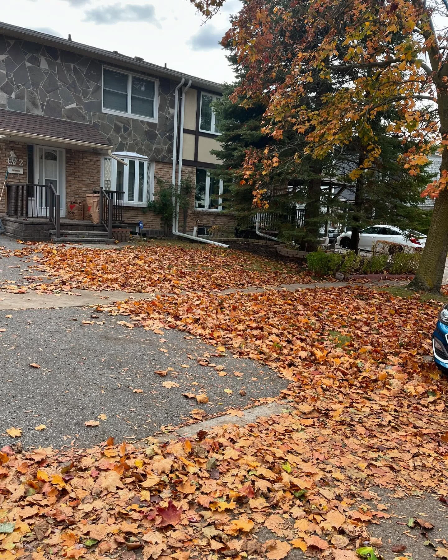 Now booking fall leaf clean ups!
