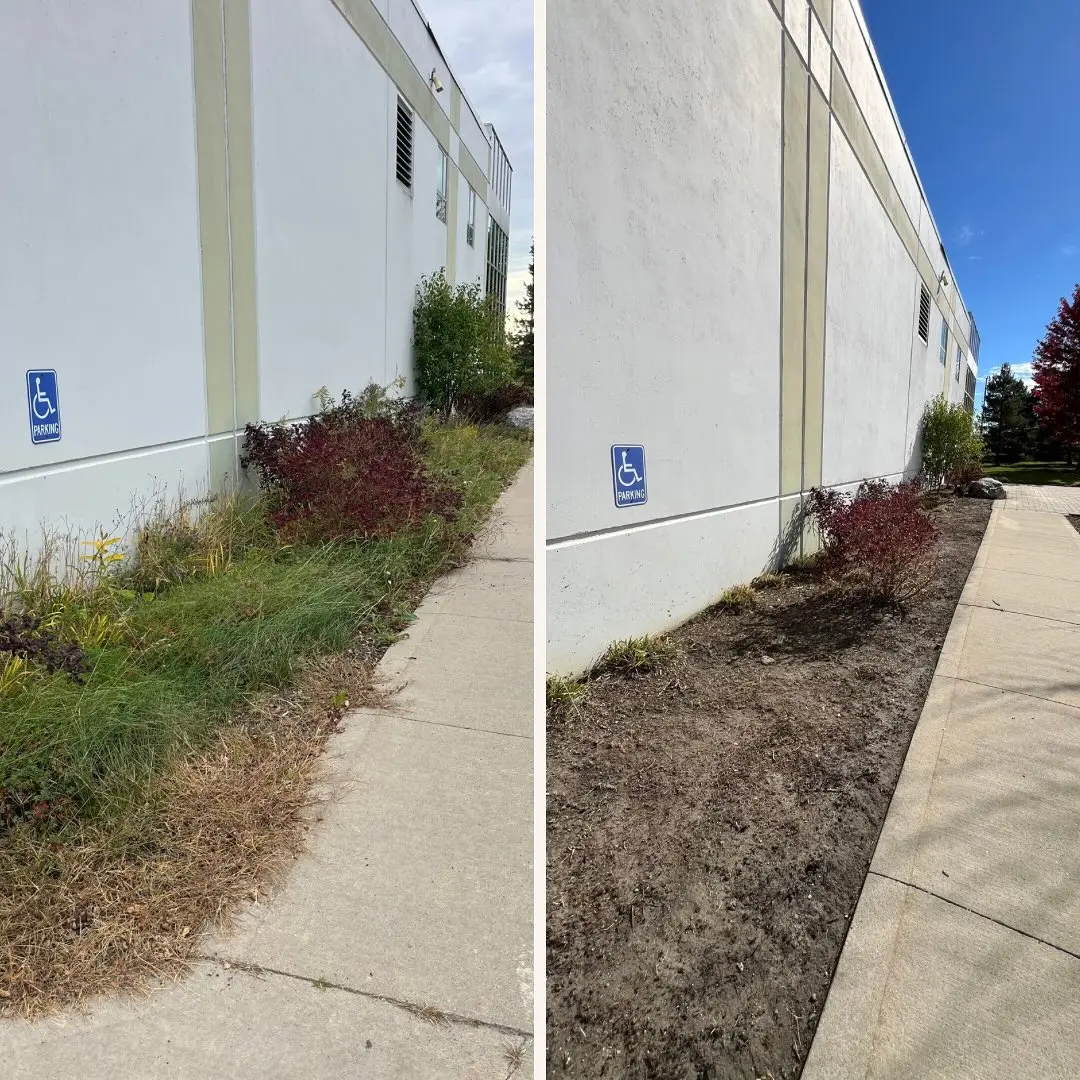 Completed a thorough fall cleanup at this commercial property, including full de-weeding, leaf removal, and pruning to get…