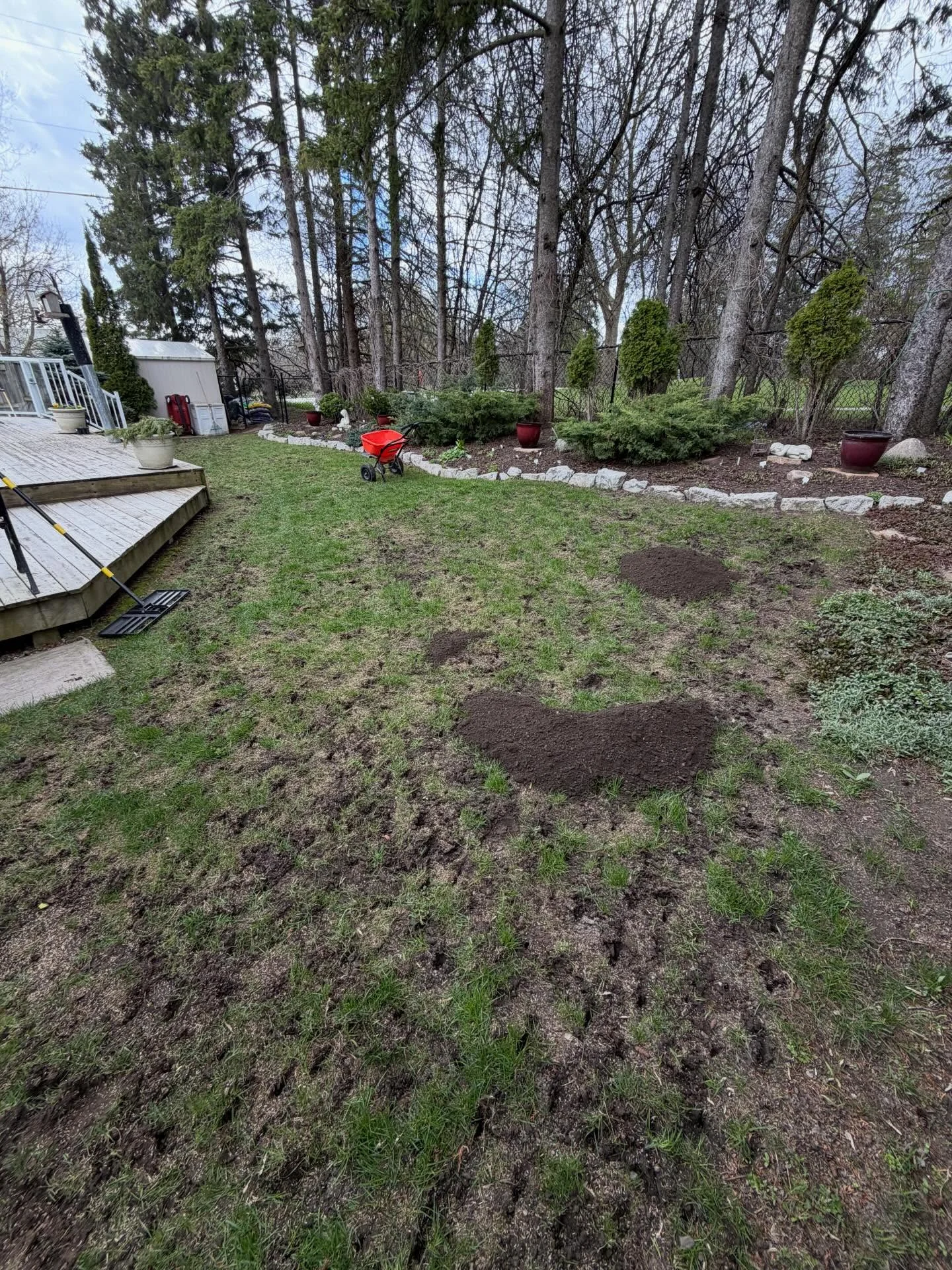 We were busy with aeration, overseeding, and top-dressing jobs in Port Perry and Courtice this week.