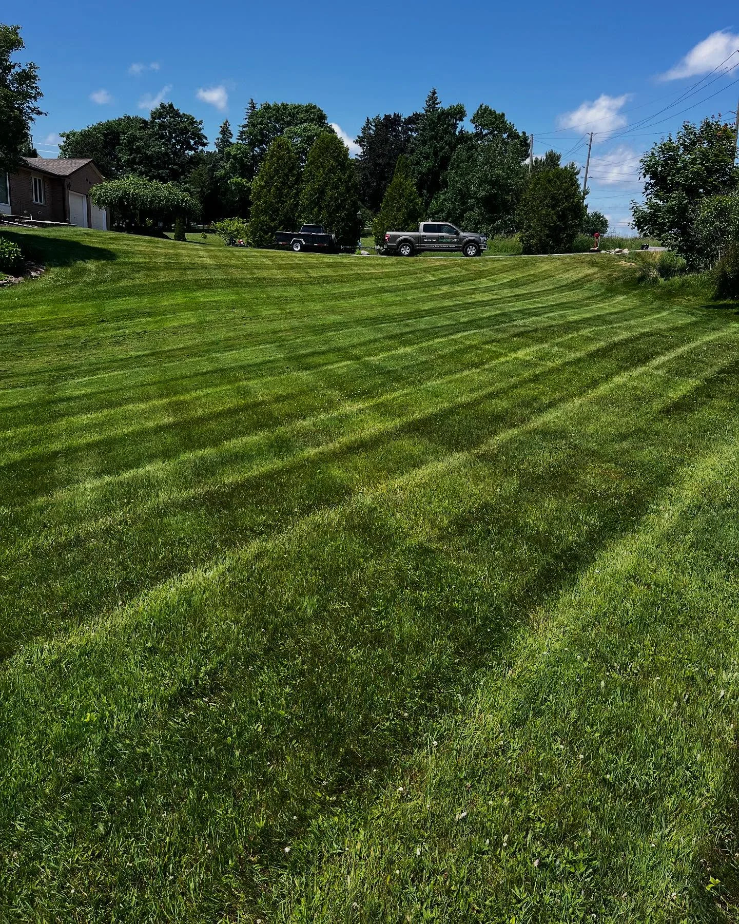 A few fresh cuts from this past week!