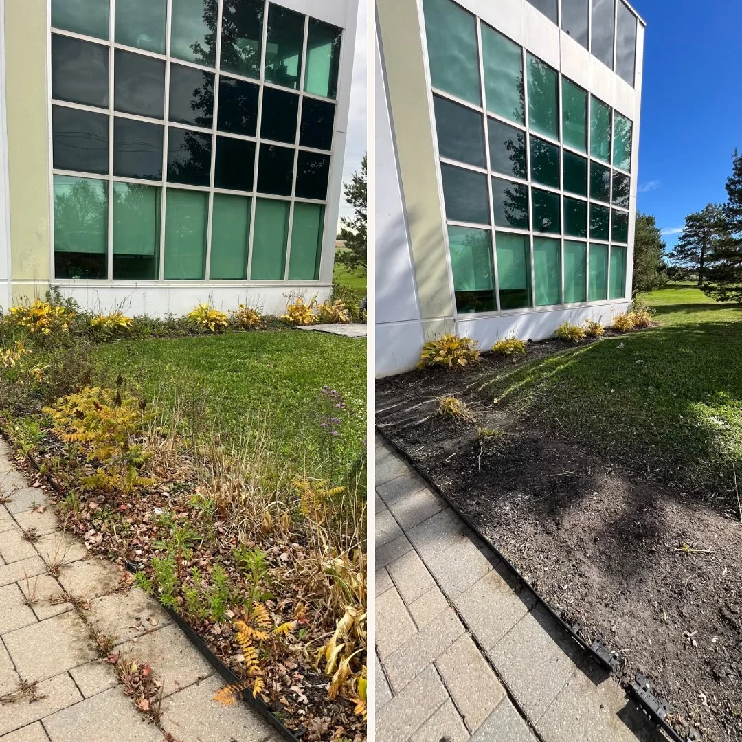 Completed a thorough fall cleanup at this commercial property, including full de-weeding, leaf removal, and pruning to get…