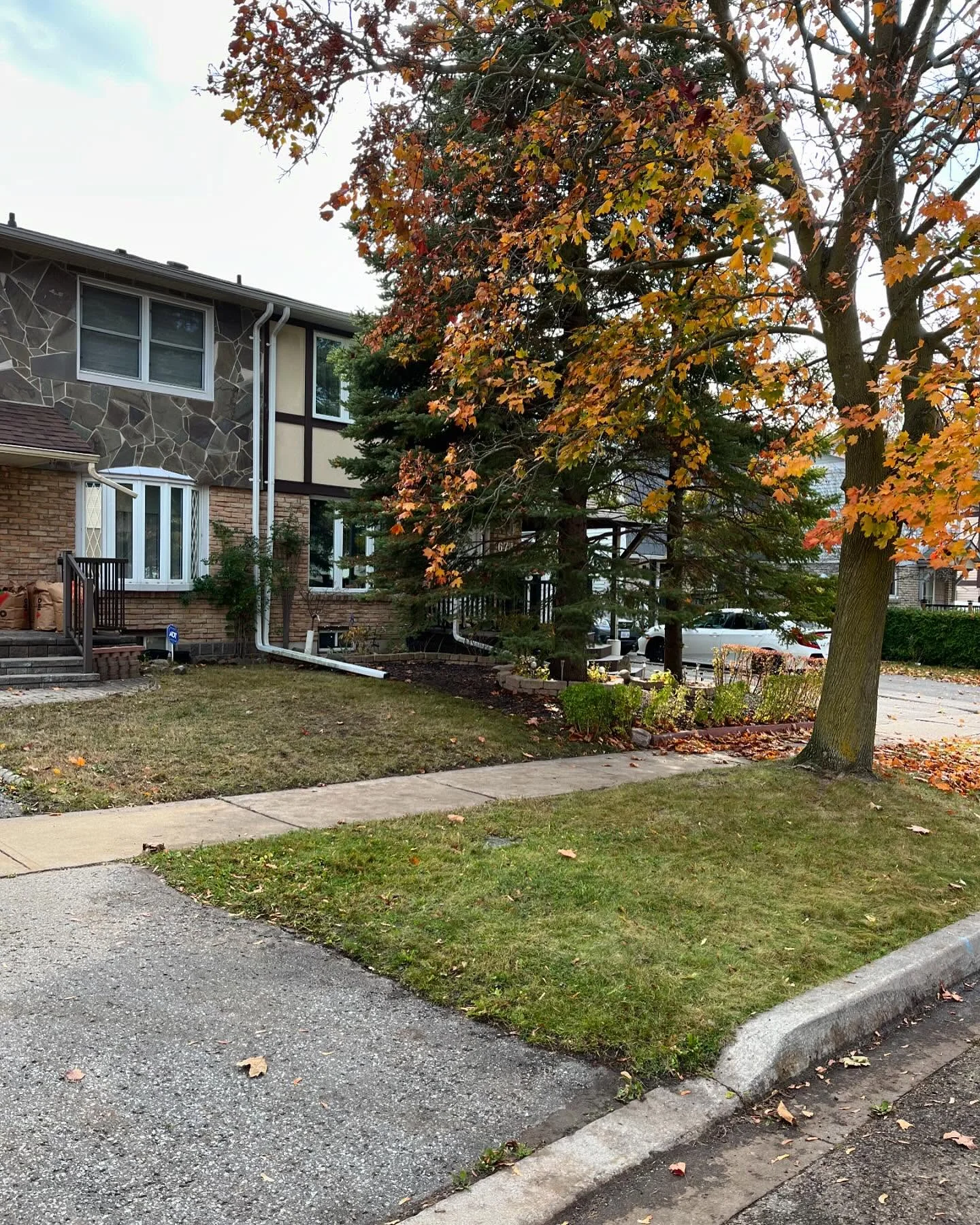 Now booking fall leaf clean ups!