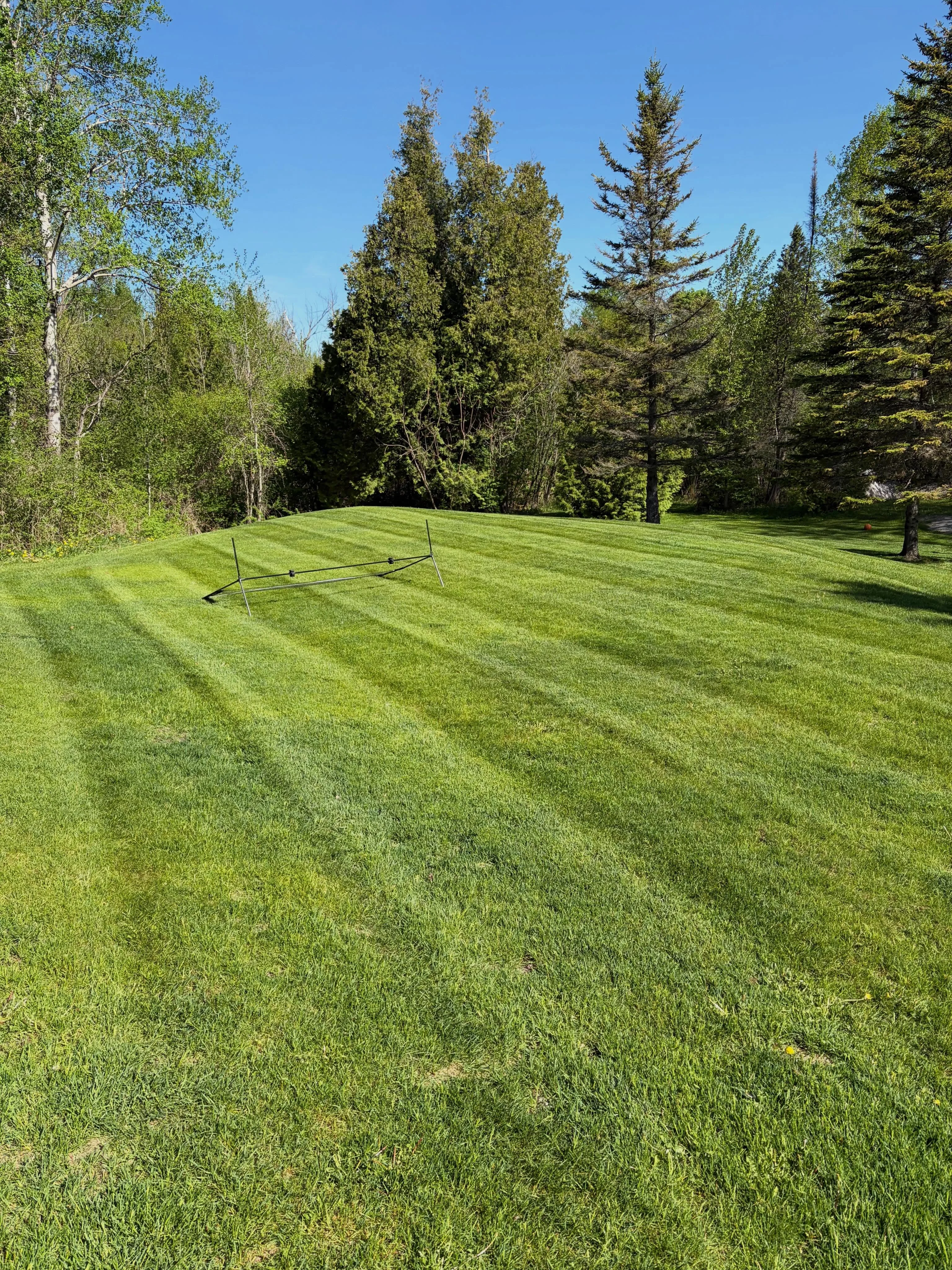 Keep your weekends, we’ll handle the lawn.