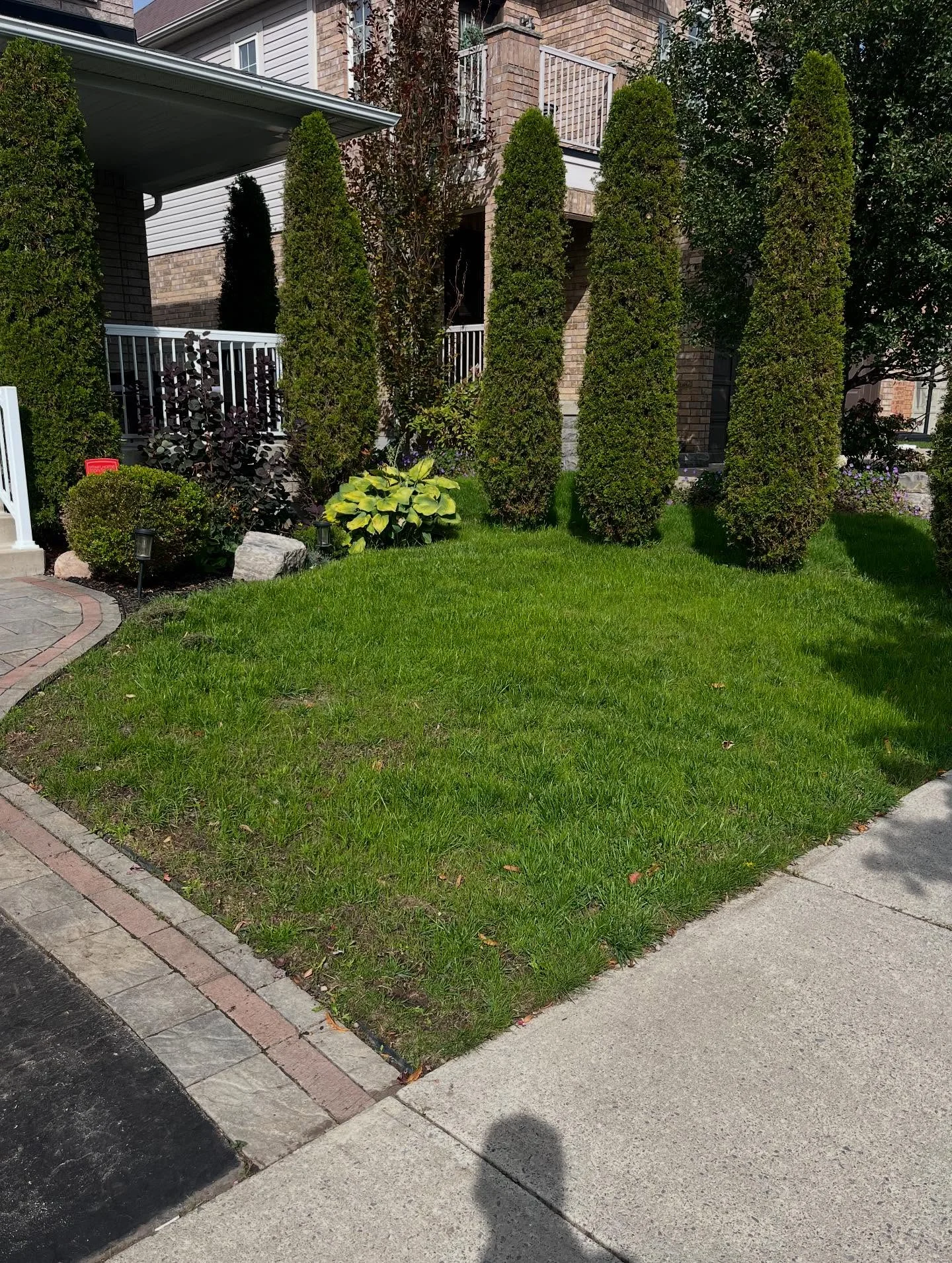 Here’s a realistic two-week lawn transformation: we aerated, overseeded, fertilized, dethatched, and top-dressed using the…