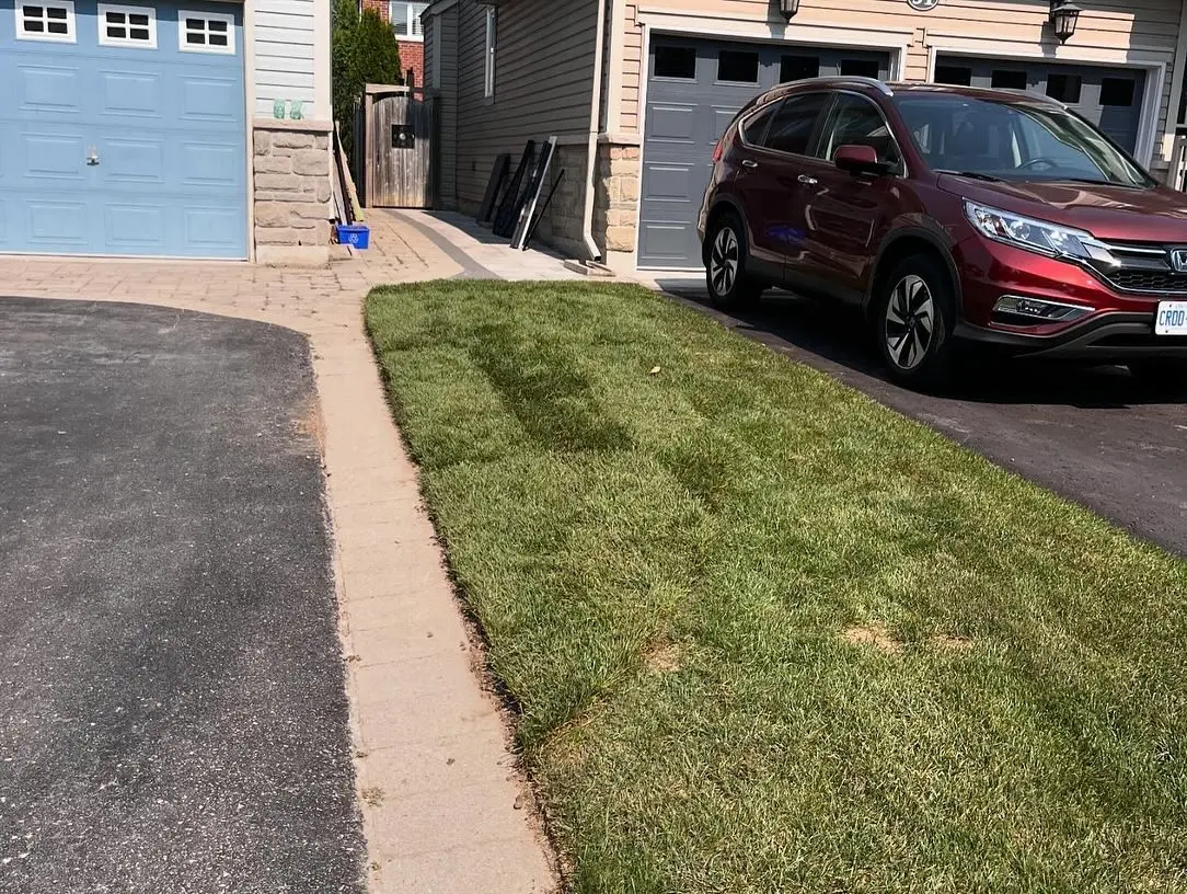 Brick disposal and sod installation from last week