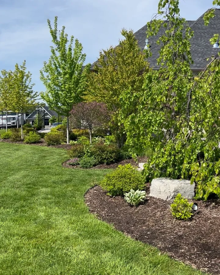Completed a full garden bed refresh today with 8 yards of premium brown mulch.