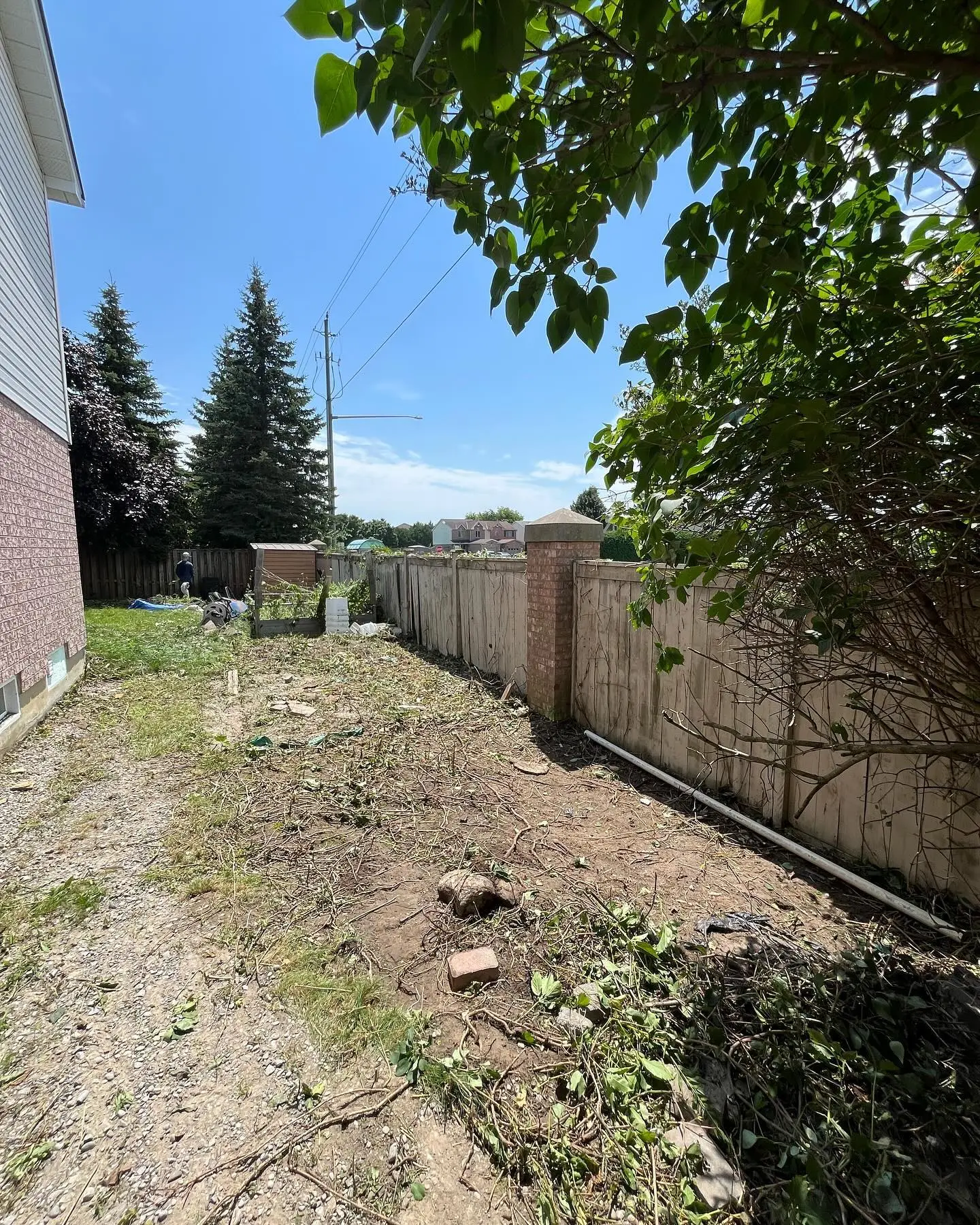 This client gave us a call regarding an urgent clean up they needed done.