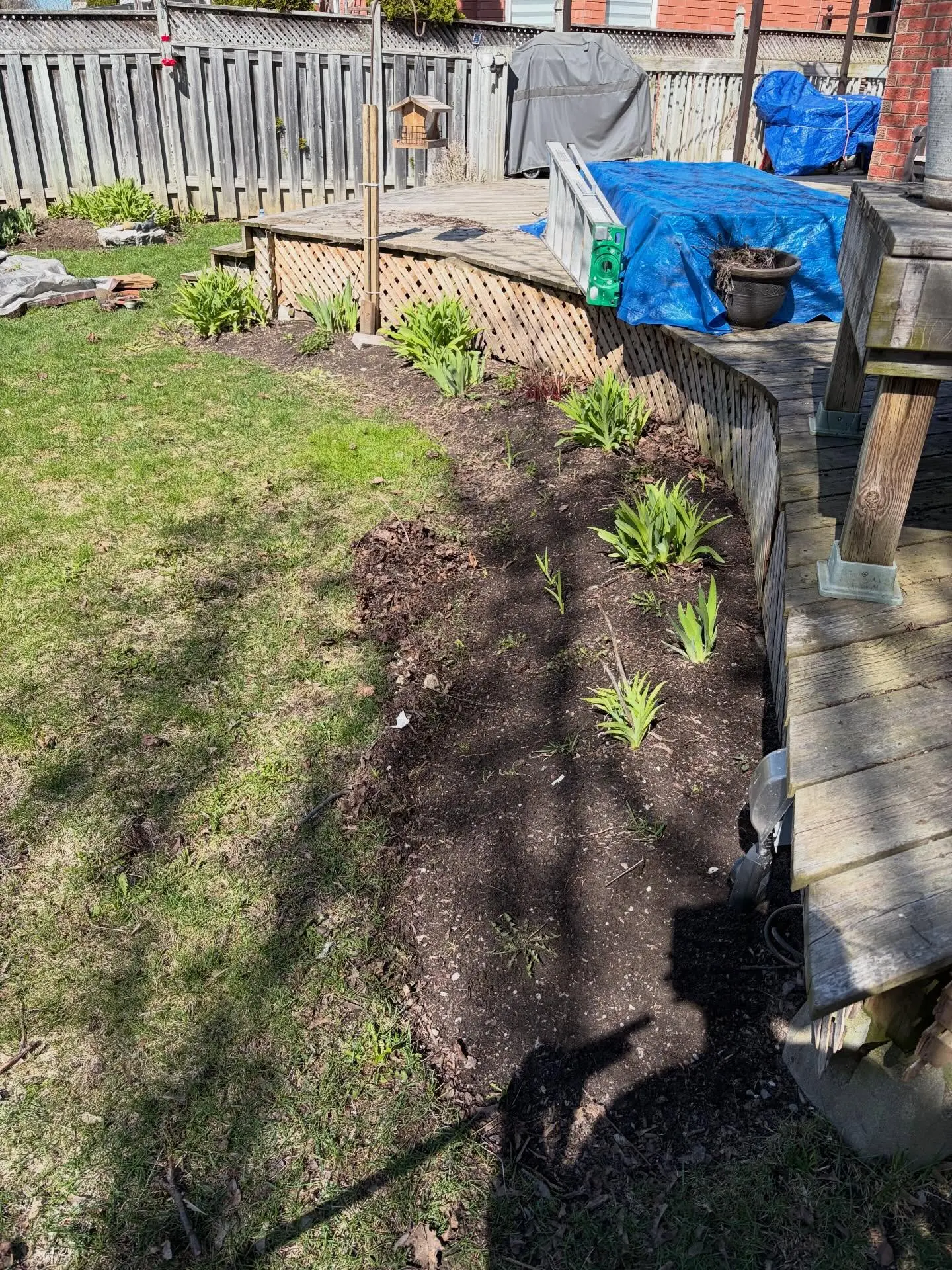 We spent the day giving these garden beds spring treatment that they deserve: a deep natural edge, full de-weeding, and a…