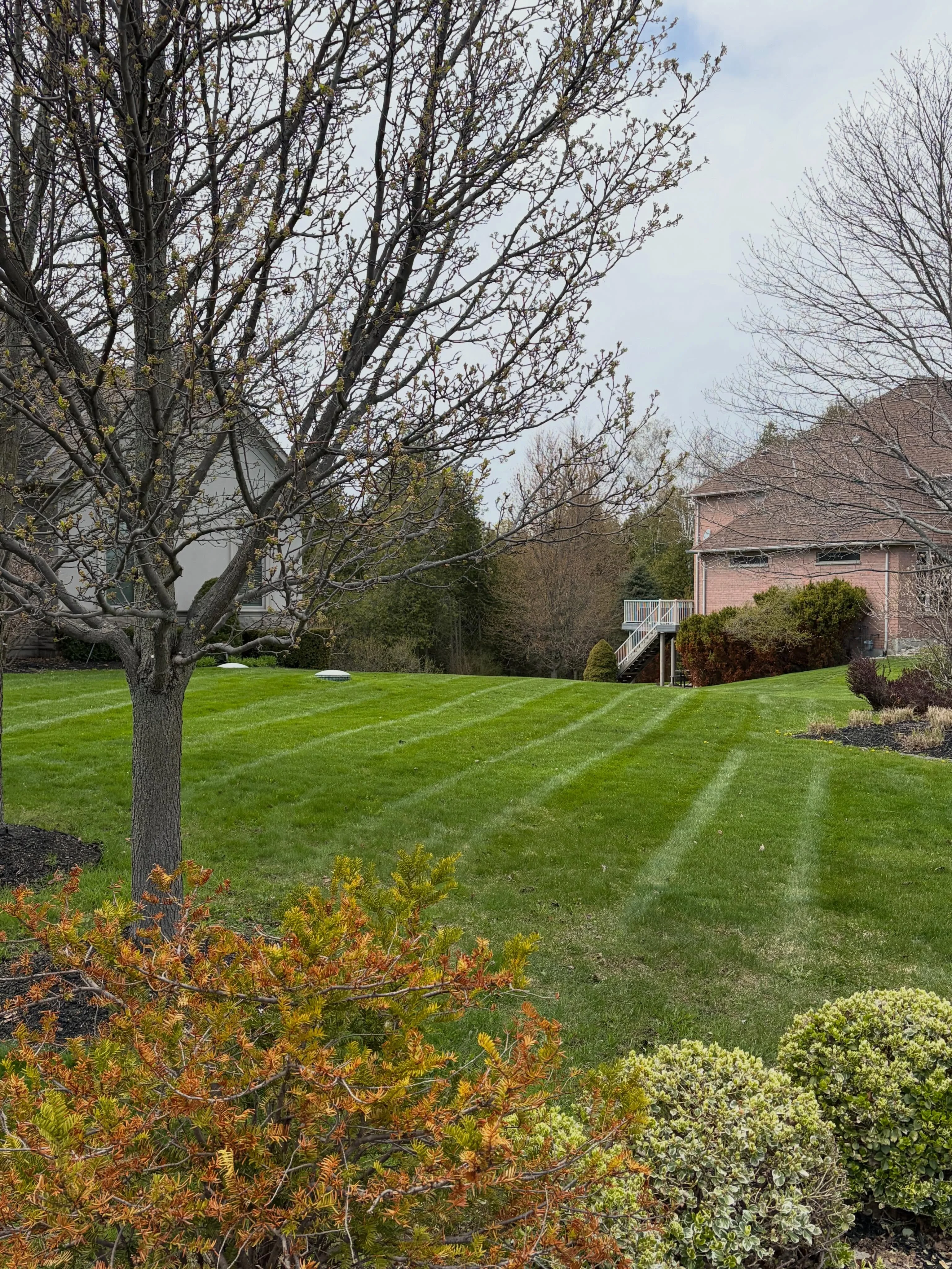 It feels great to be back out in the community seeing familiar faces (and familiar lawns).