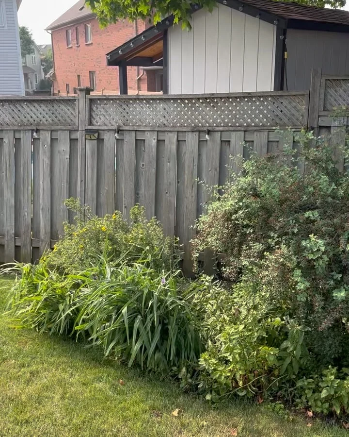 A recent garden transformation!