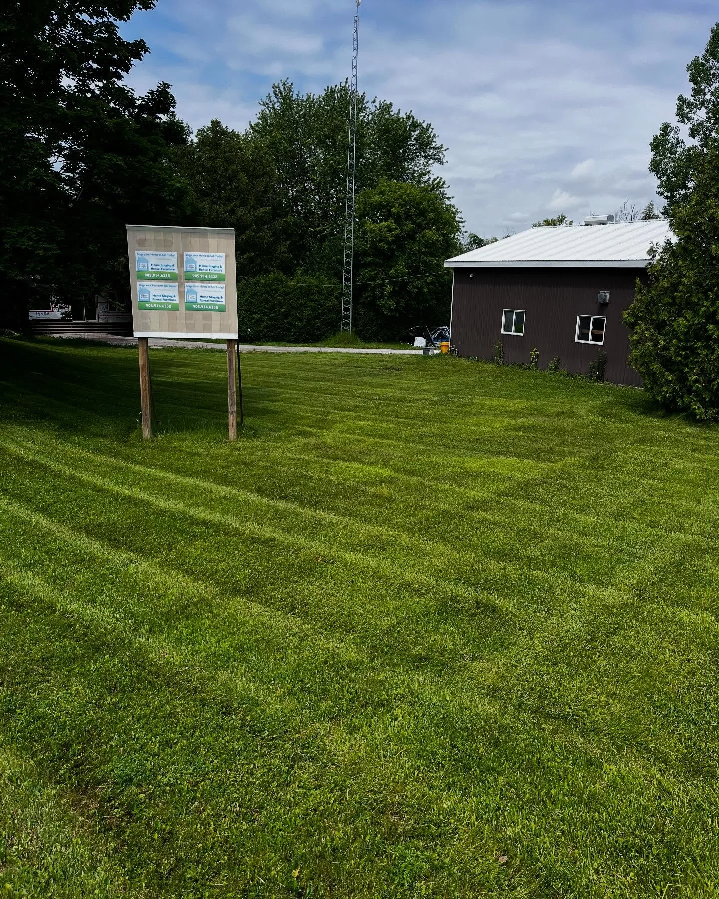 A few fresh cuts from this past week!