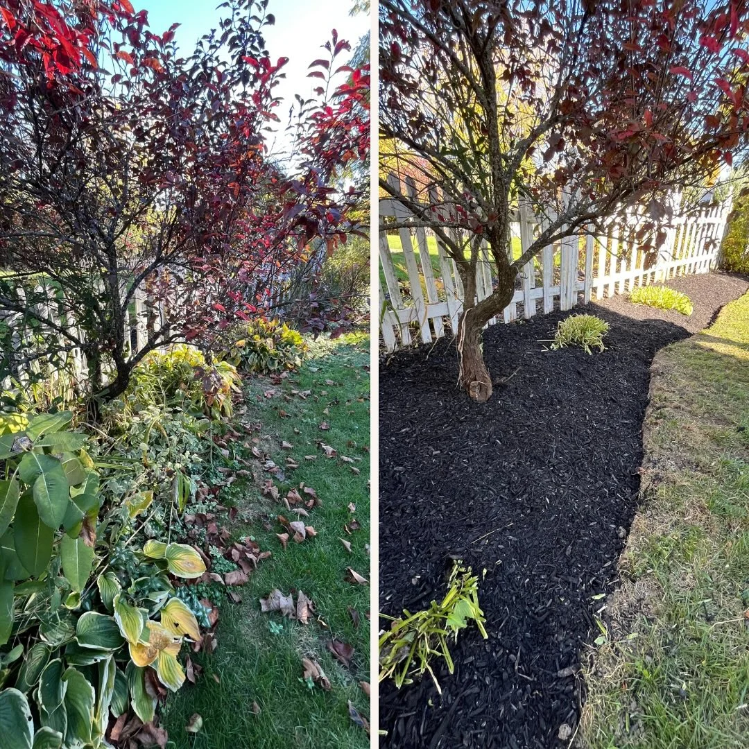 Garden Refresh Completed Our team de-weeded and edged all garden beds, pruned overgrown and dead plants, and applied a fresh…