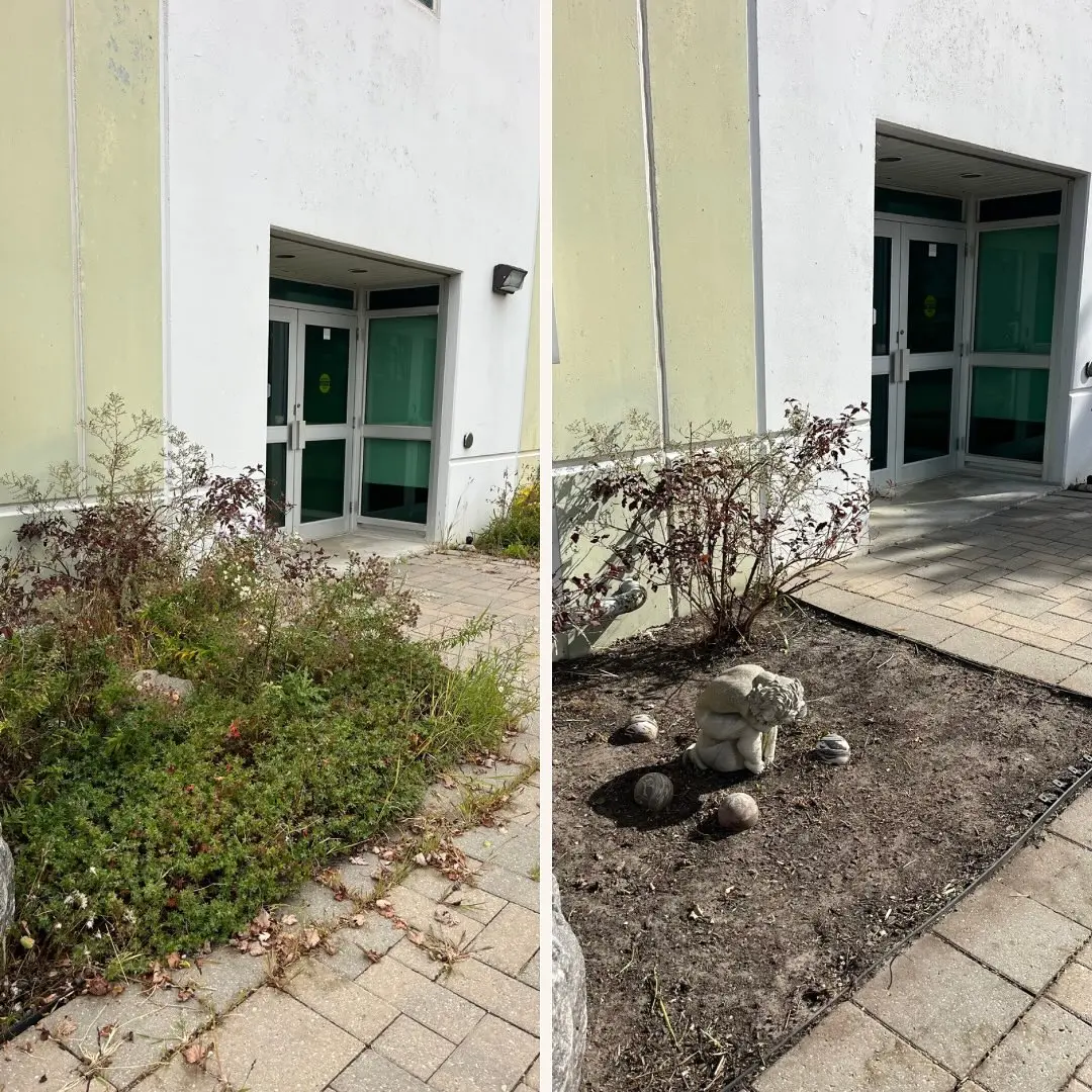 Completed a thorough fall cleanup at this commercial property, including full de-weeding, leaf removal, and pruning to get…