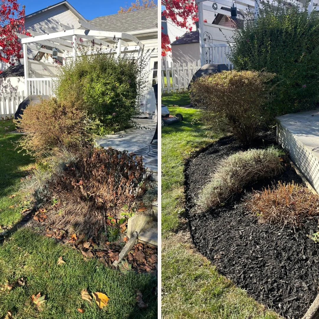 Garden Refresh Completed Our team de-weeded and edged all garden beds, pruned overgrown and dead plants, and applied a fresh…