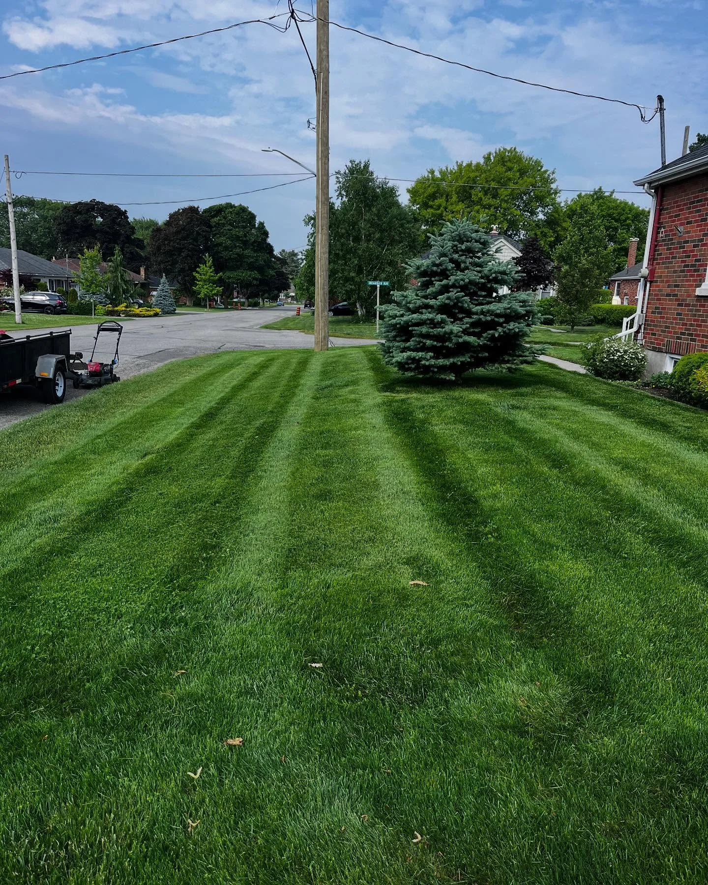 A few fresh cuts from this past week!