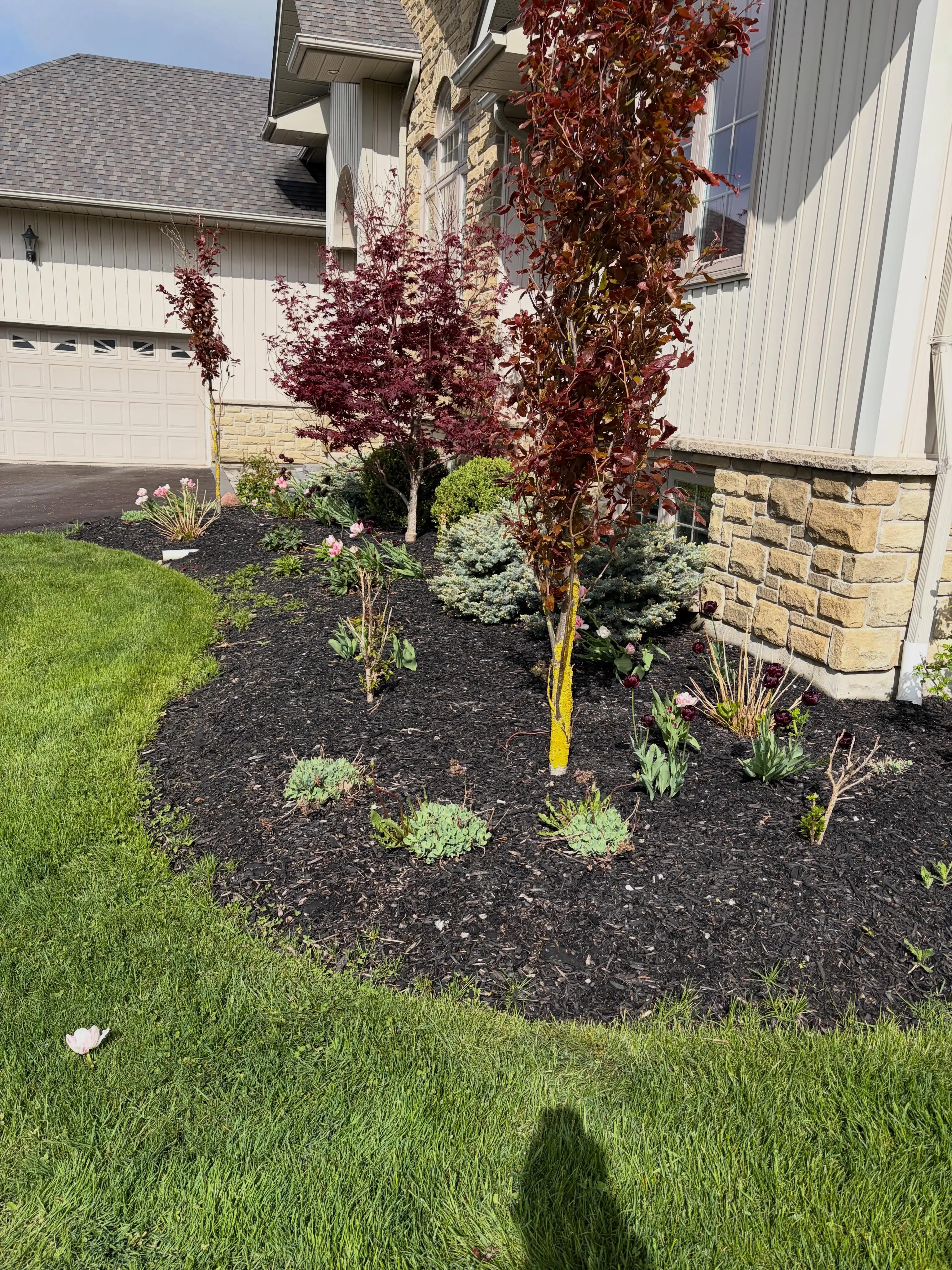Two towns, two transformations, one busy day and a great team We started the morning prepping these garden beds in Port…