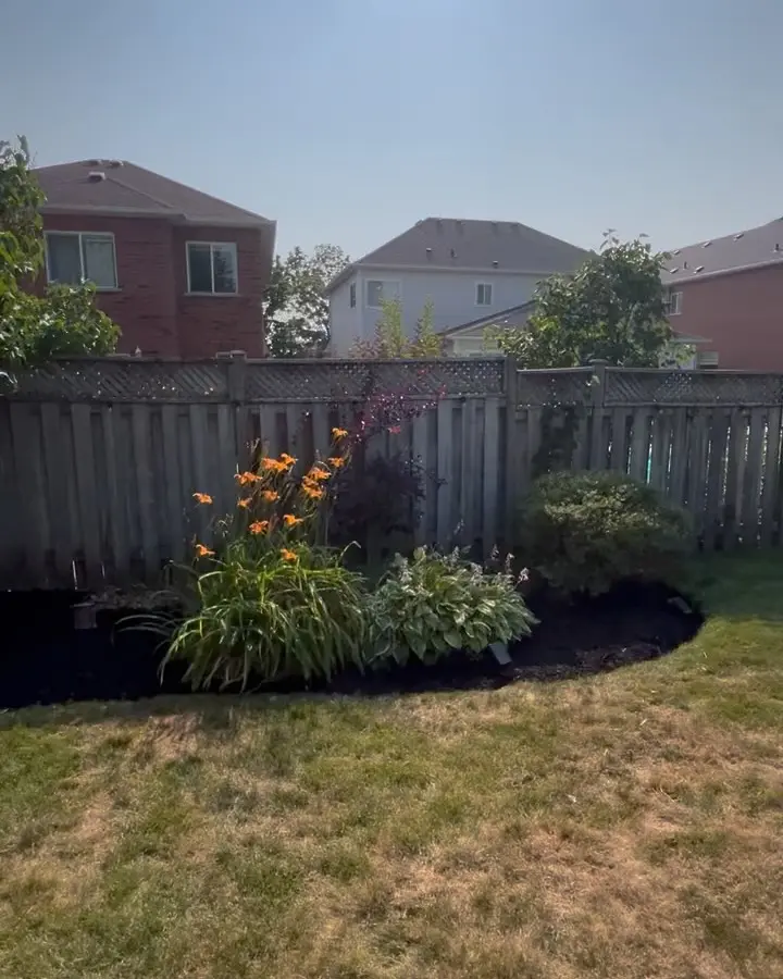 A recent garden transformation!