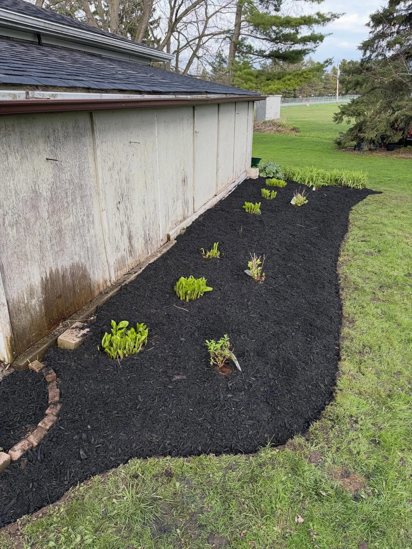 We’re back at it, turning a blank space around the shed into a brand-new focal point.