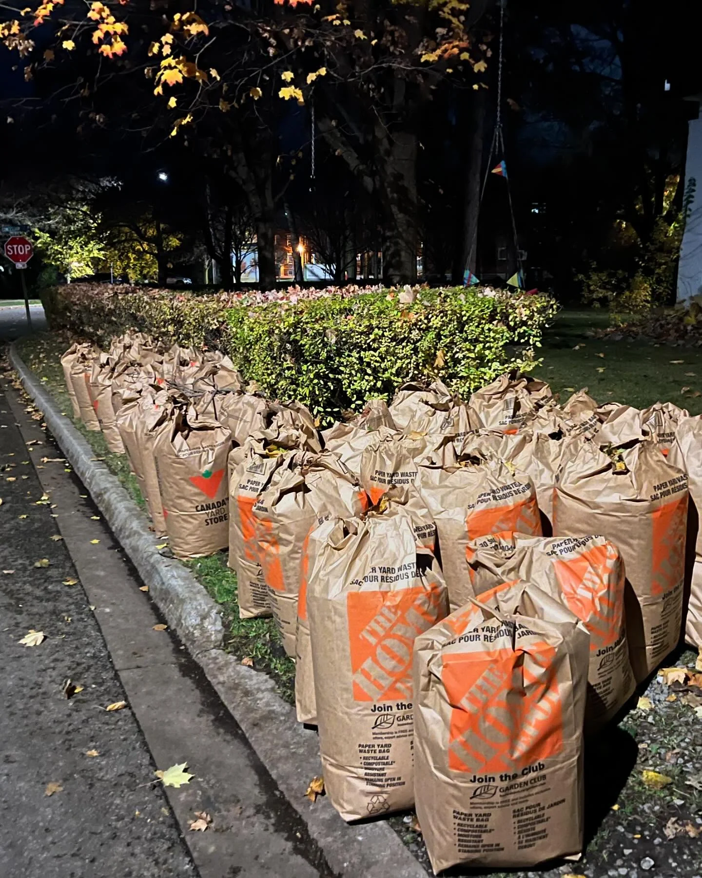 Now booking fall leaf clean ups!