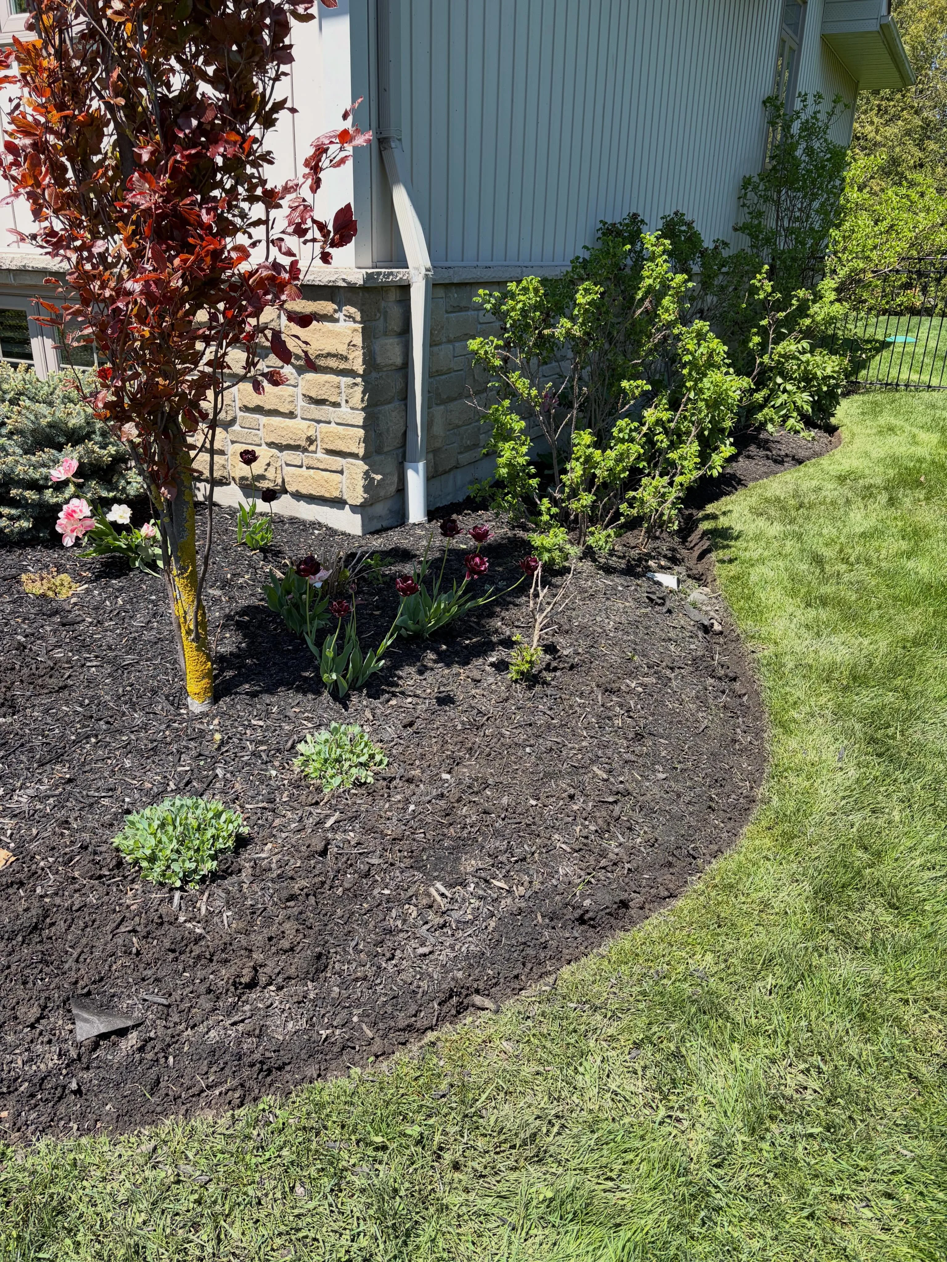 Two towns, two transformations, one busy day and a great team We started the morning prepping these garden beds in Port…
