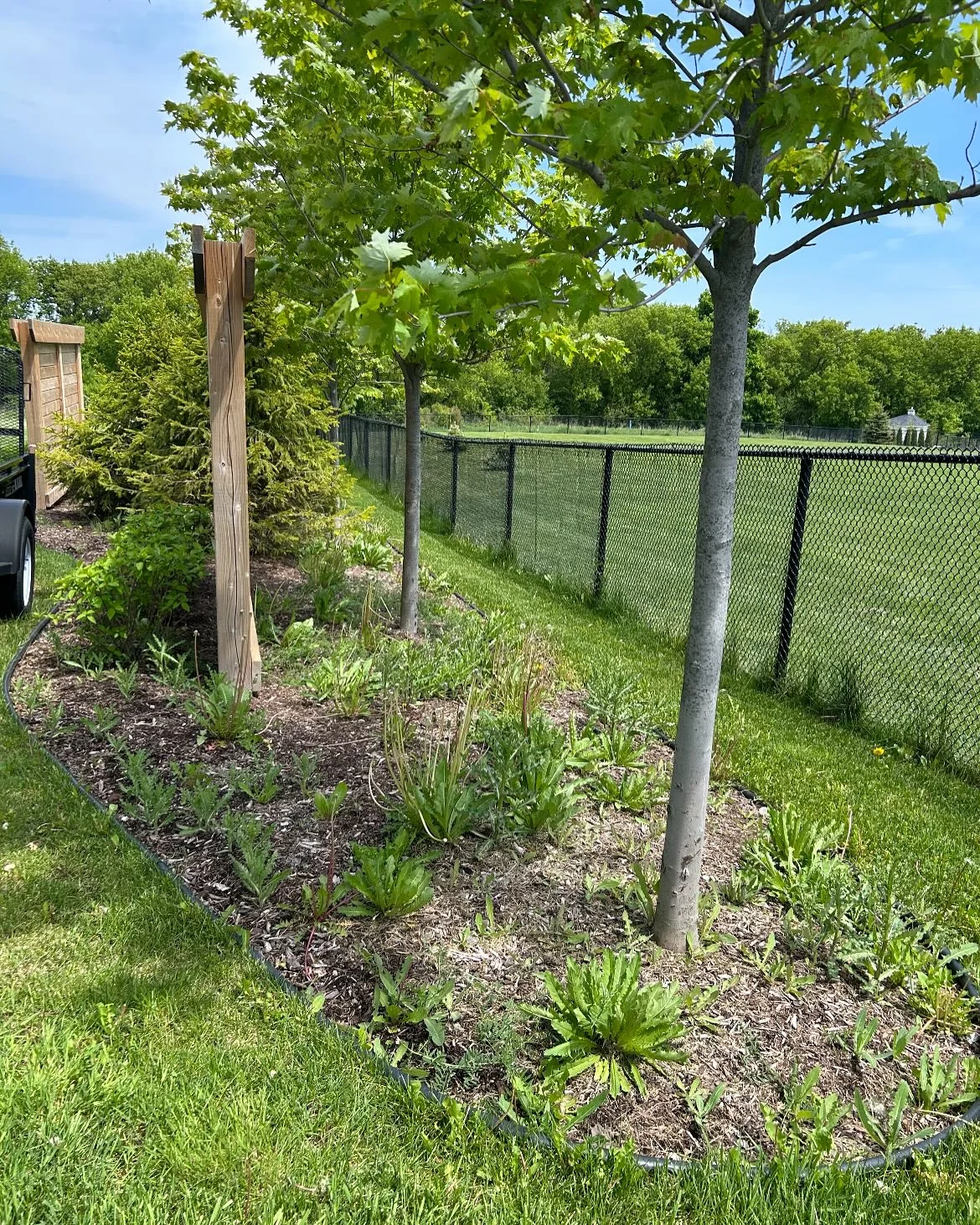 Completed a full garden bed refresh today with 8 yards of premium brown mulch.