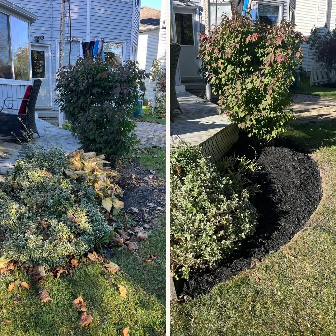 Garden Refresh Completed Our team de-weeded and edged all garden beds, pruned overgrown and dead plants, and applied a fresh…