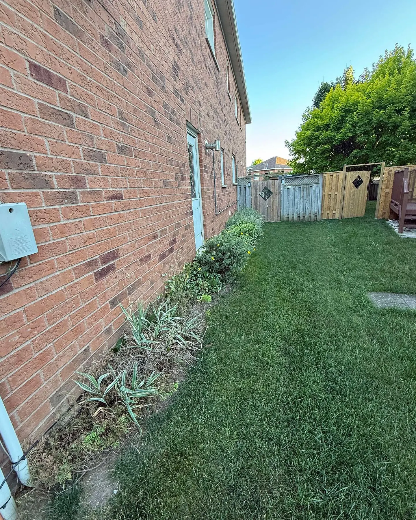 A recent garden transformation!