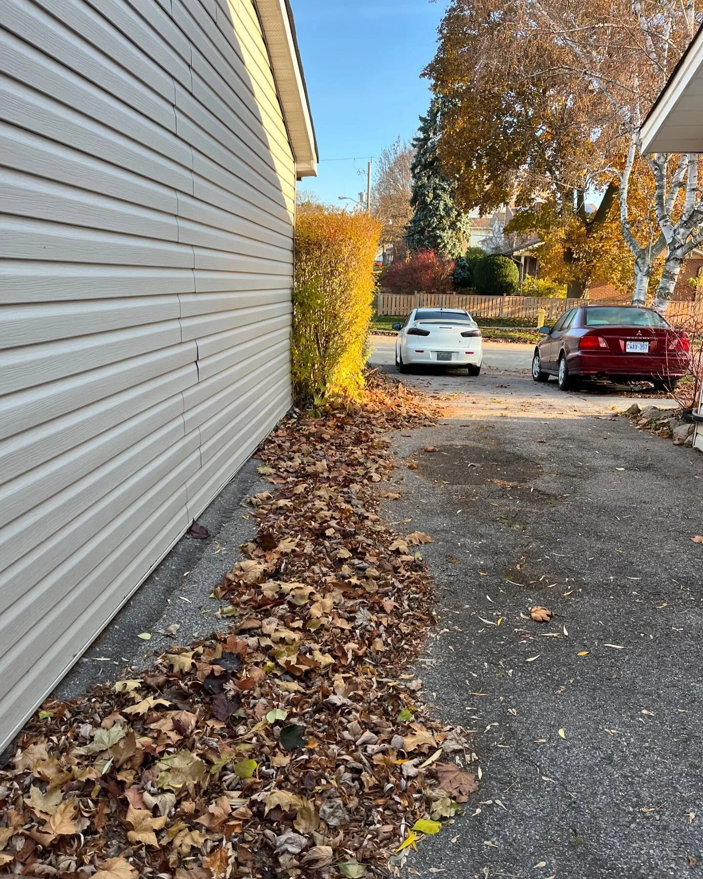Now booking fall leaf clean ups!