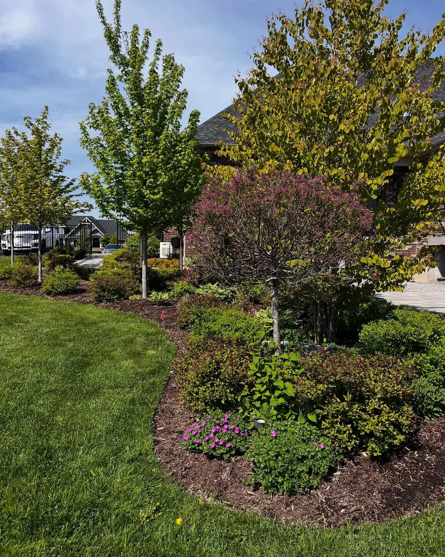 Completed a full garden bed refresh today with 8 yards of premium brown mulch.