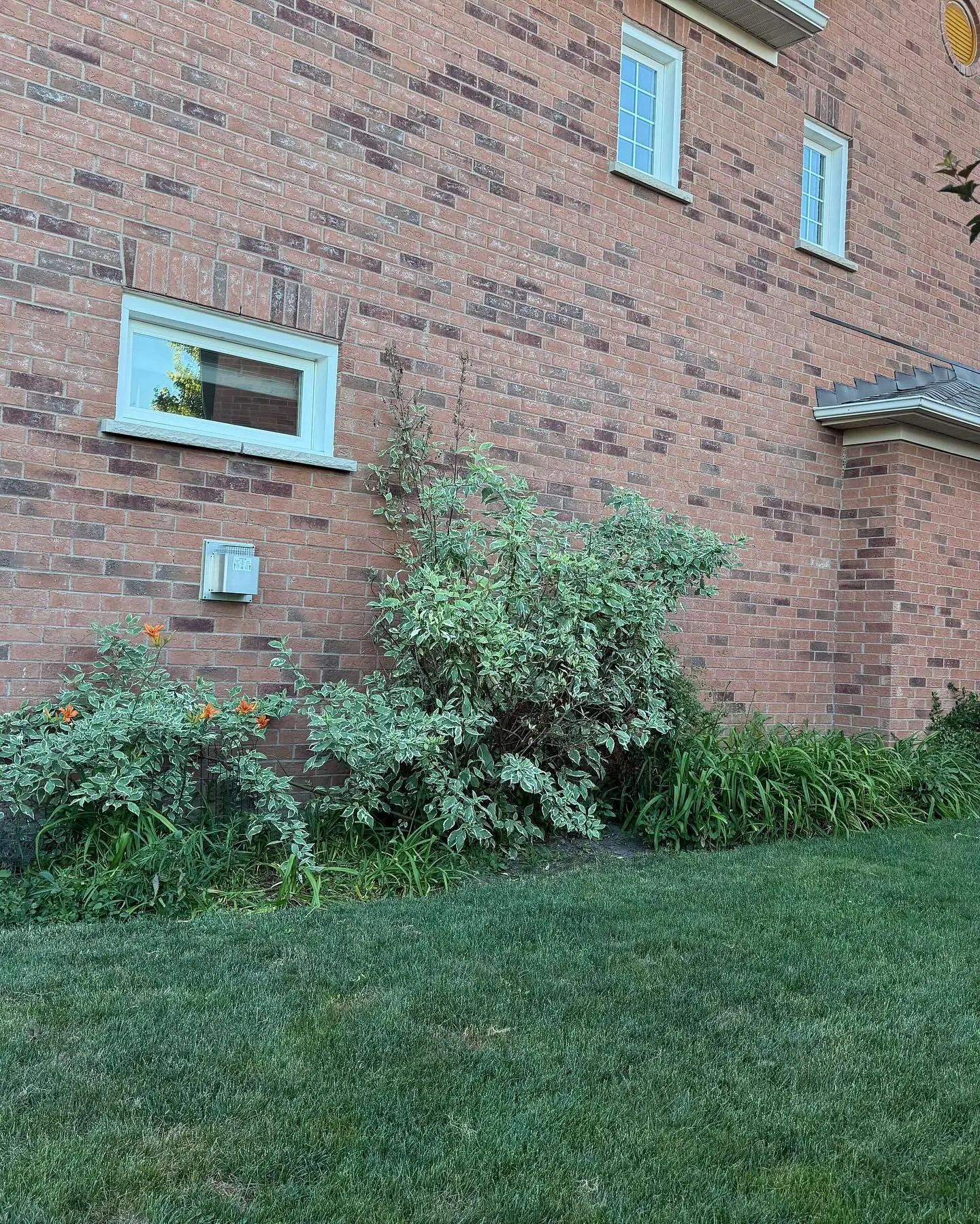 A recent garden transformation!