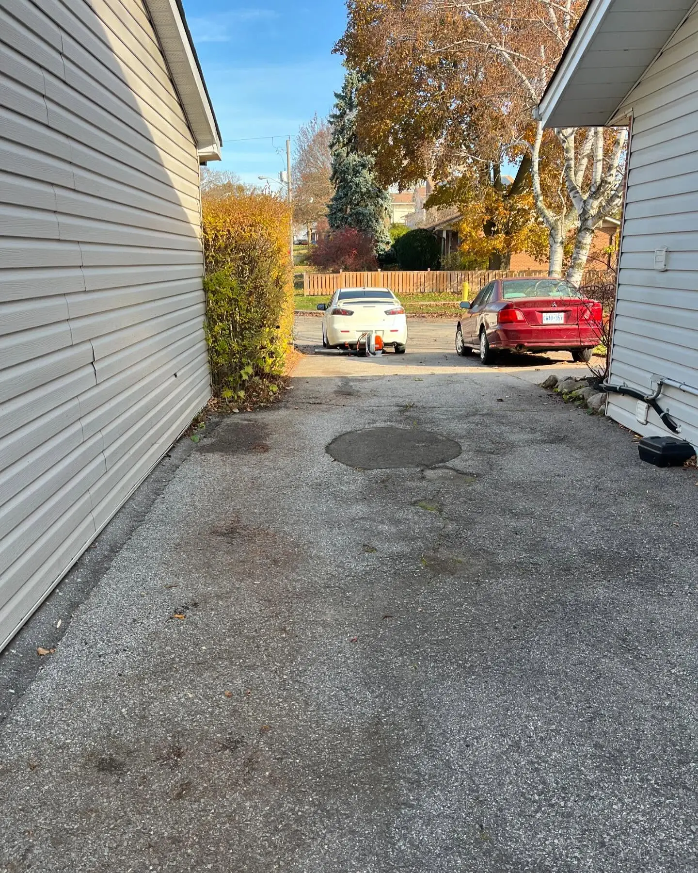 Now booking fall leaf clean ups!