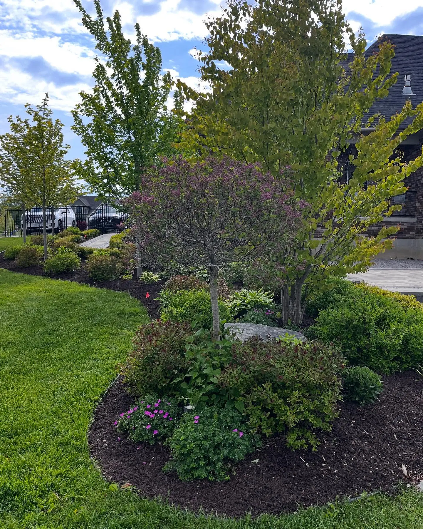 Completed a full garden bed refresh today with 8 yards of premium brown mulch.