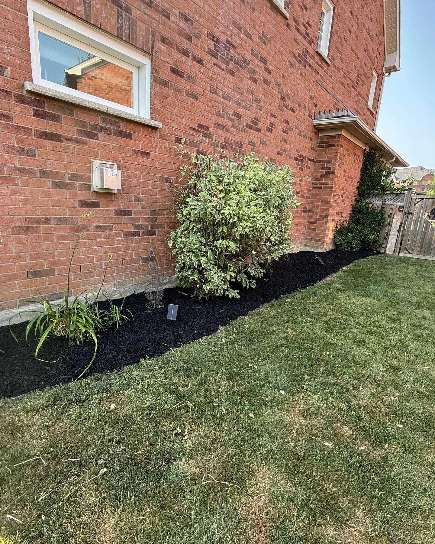 A recent garden transformation!