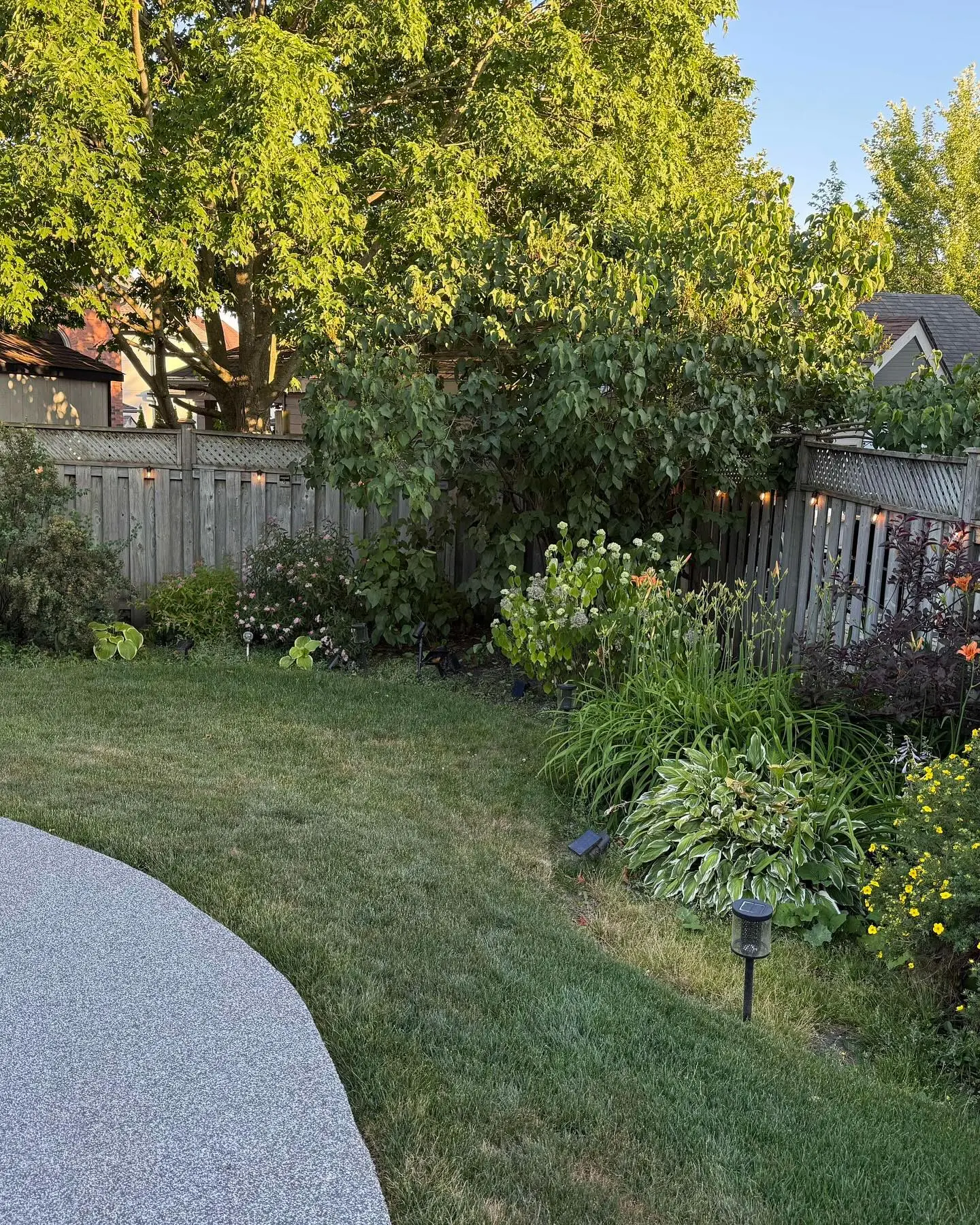 A recent garden transformation!