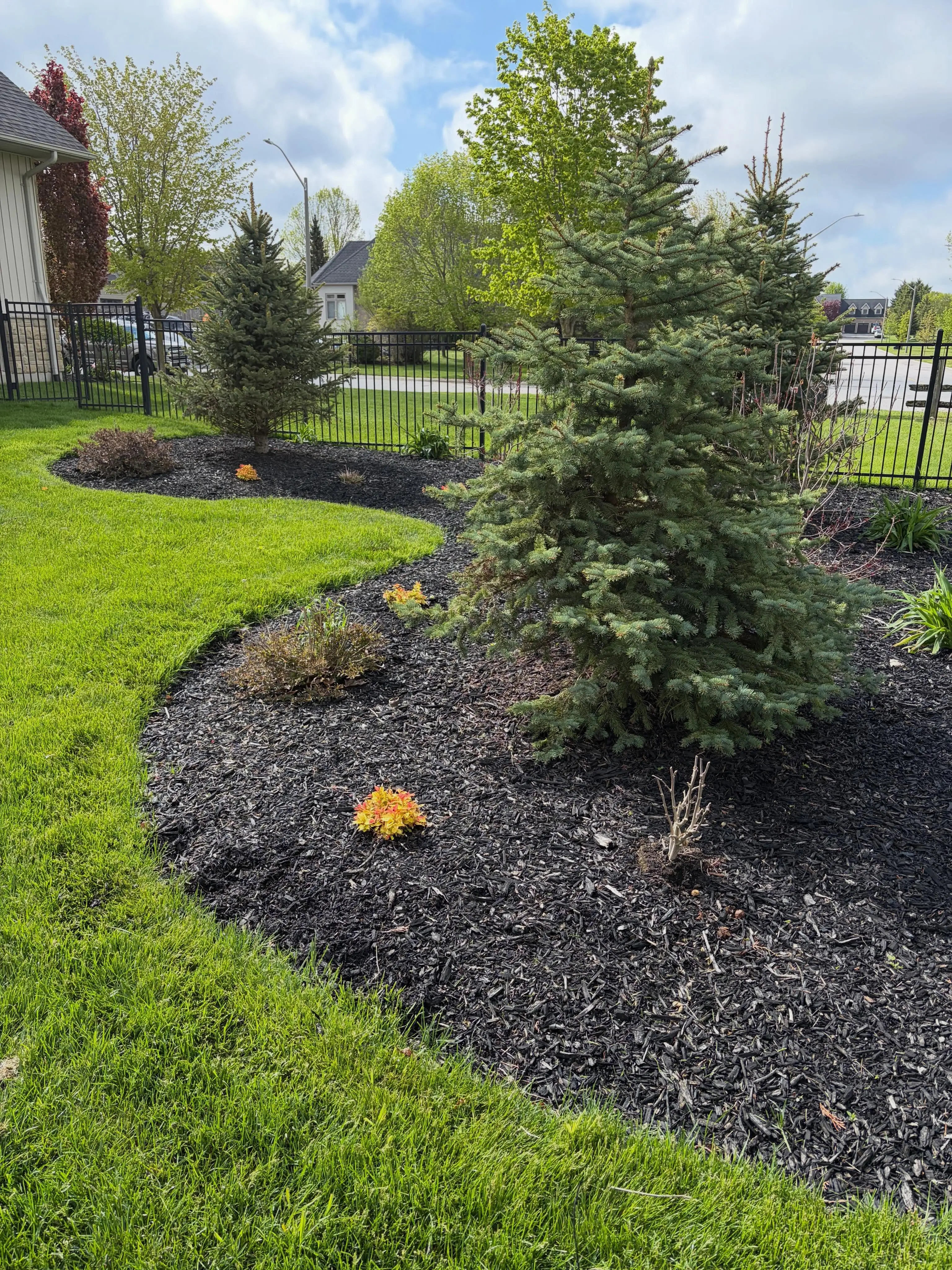 Two towns, two transformations, one busy day and a great team We started the morning prepping these garden beds in Port…