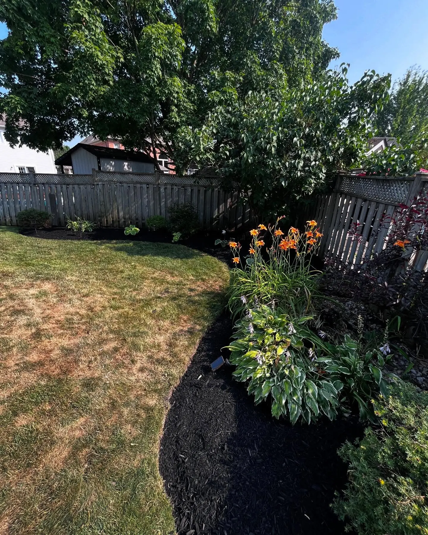 A recent garden transformation!