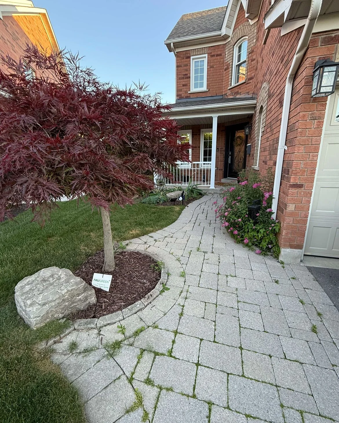A recent garden transformation!