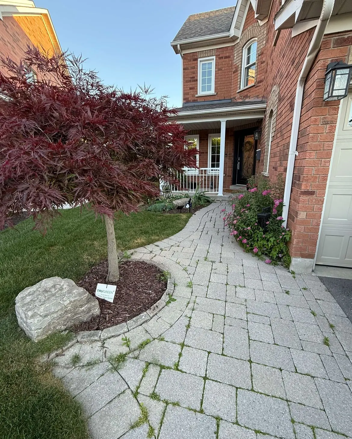A recent garden transformation!