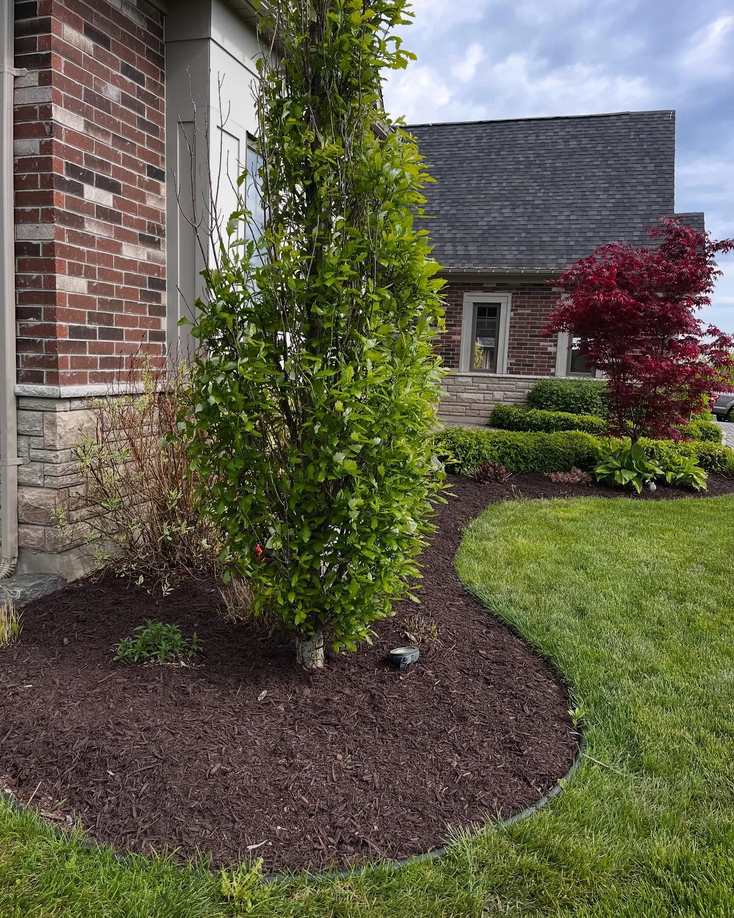 Completed a full garden bed refresh today with 8 yards of premium brown mulch.