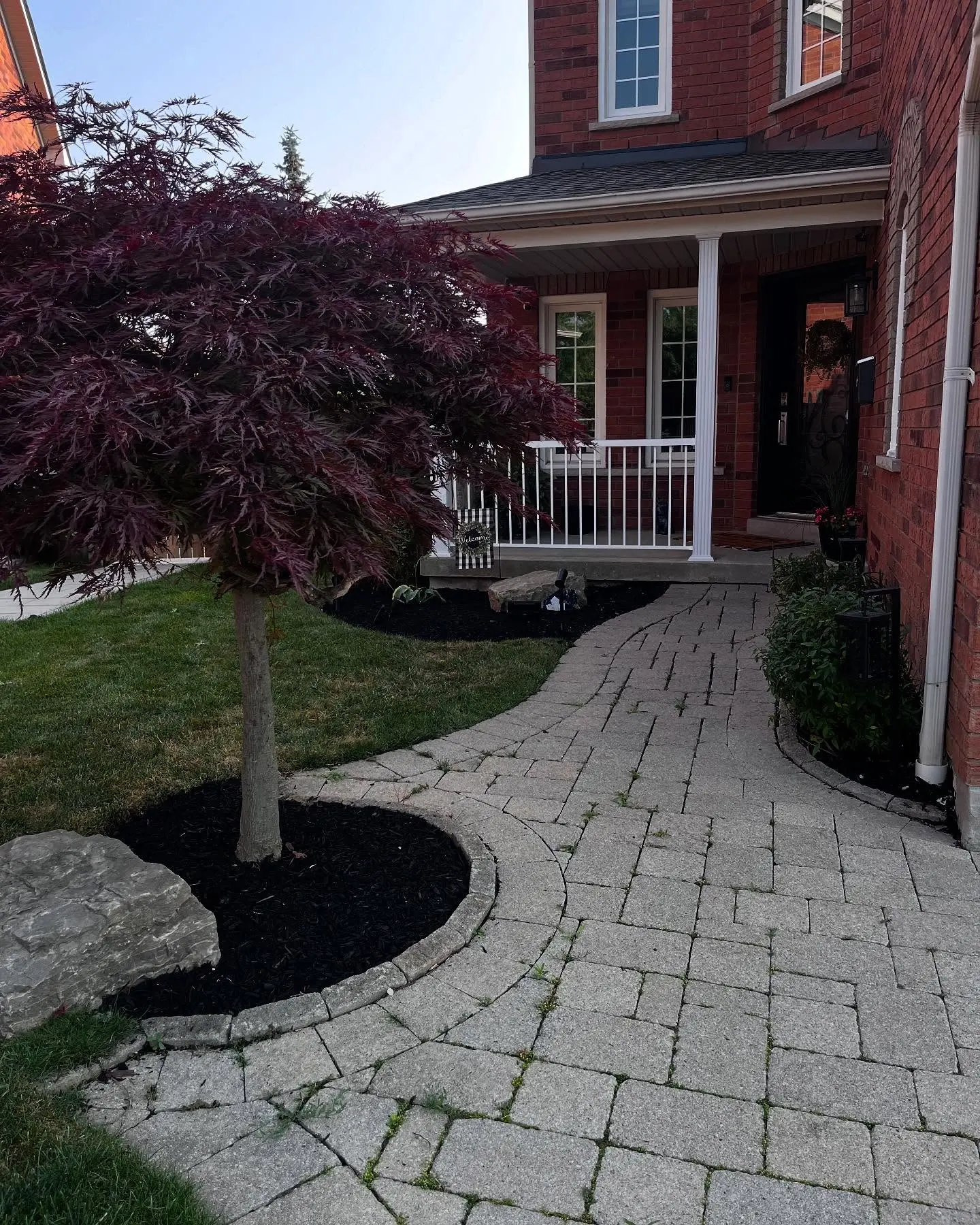 A recent garden transformation!