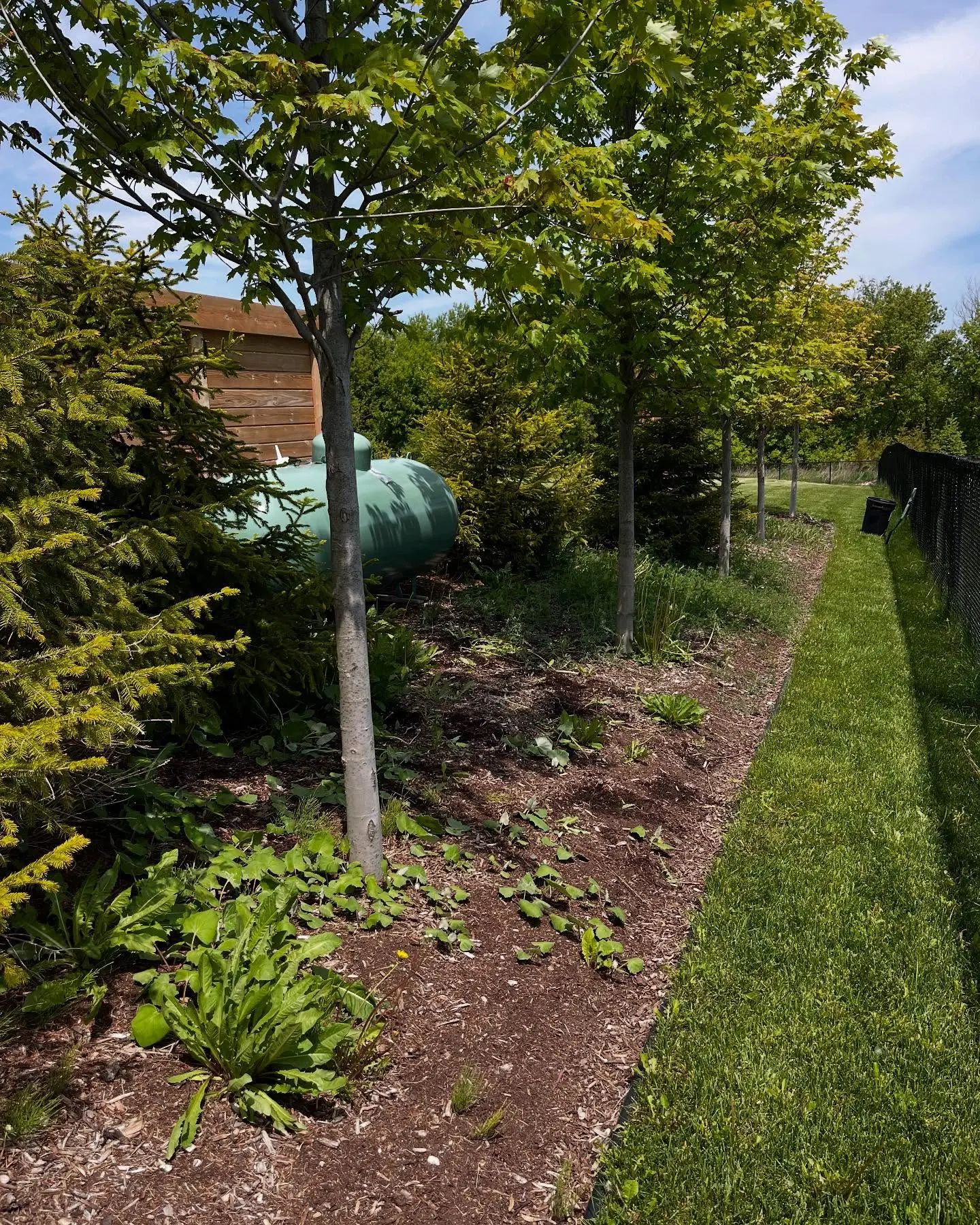 Completed a full garden bed refresh today with 8 yards of premium brown mulch.