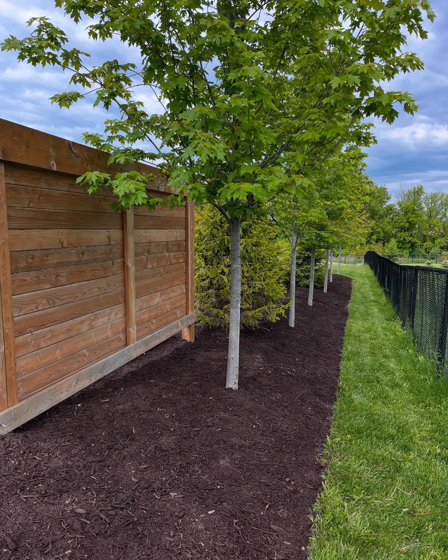Completed a full garden bed refresh today with 8 yards of premium brown mulch.