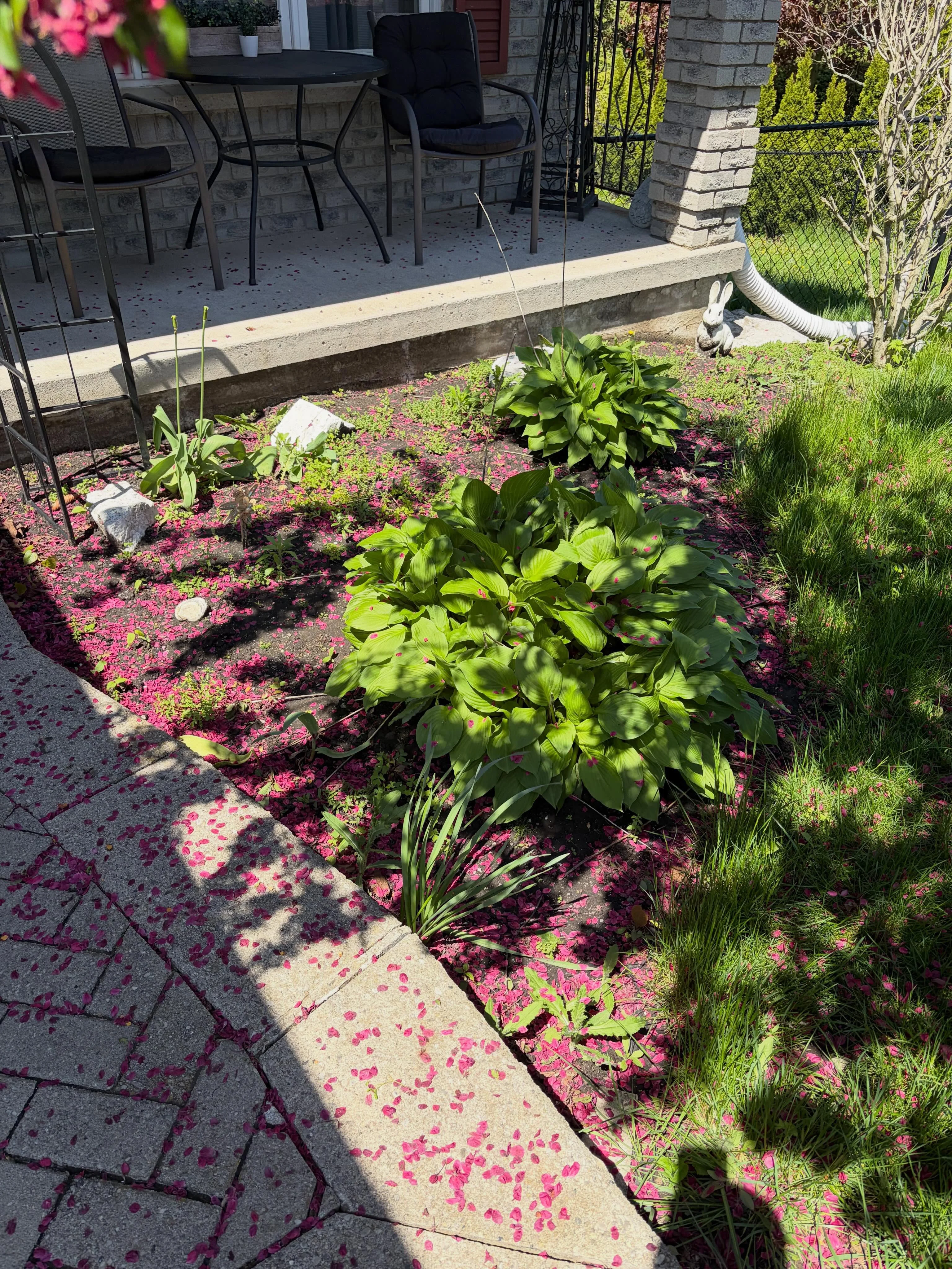 Two towns, two transformations, one busy day and a great team We started the morning prepping these garden beds in Port…