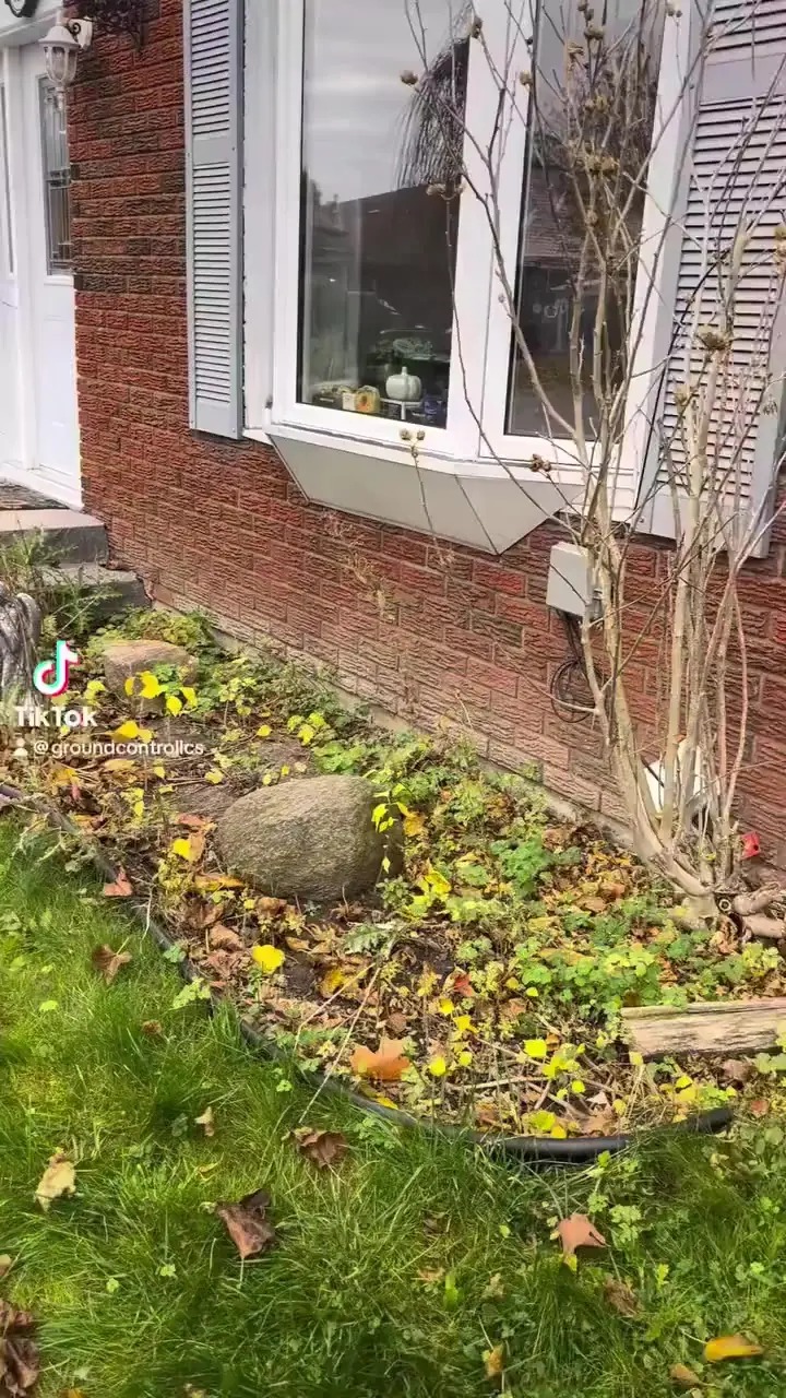 Garden bed transformation for a new client!