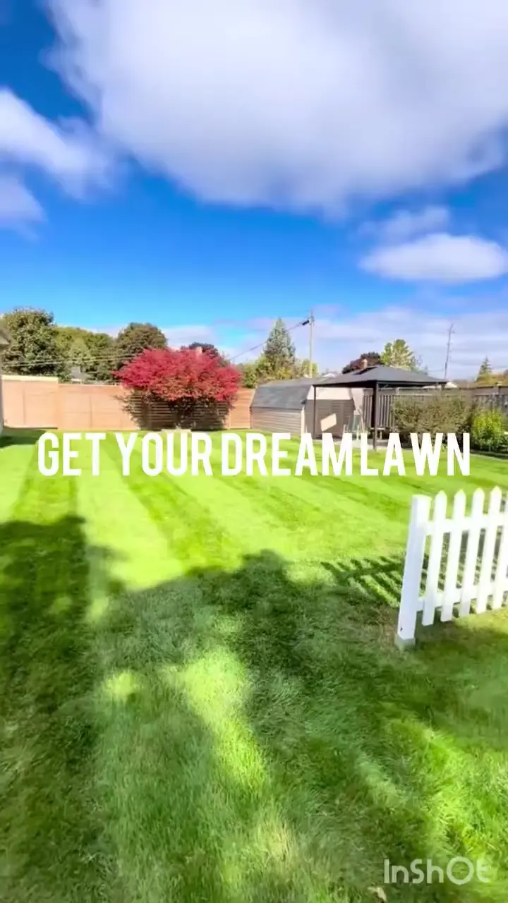 Get your dream lawn today!
