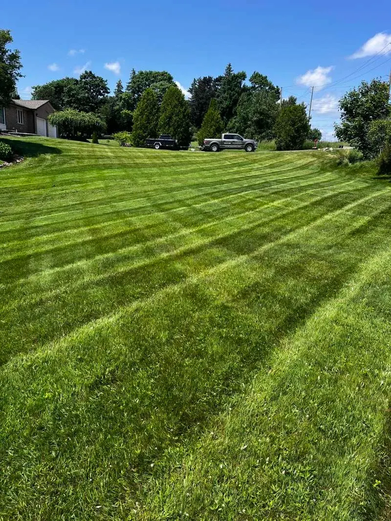 Whitby weekly lawn care with pristine, freshly striped grass