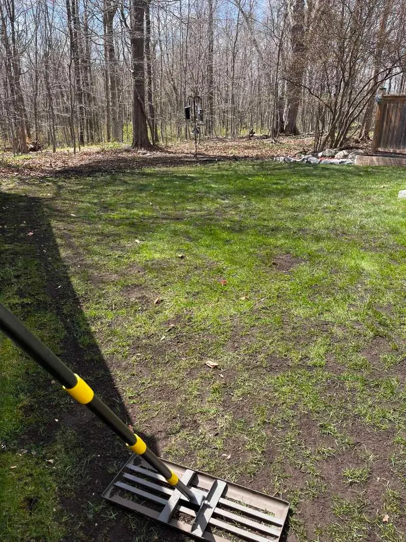 Lawn leveling in Whitby targeting low and bare spots