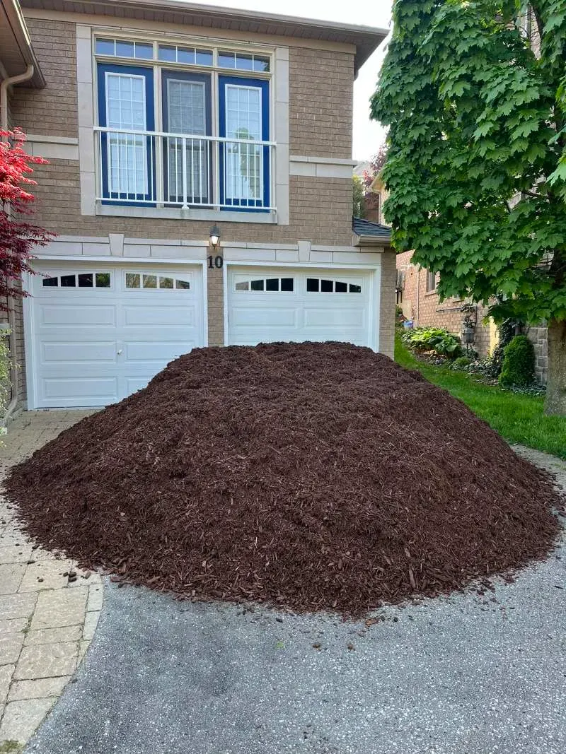 Premium mulch installation for a manicured front and backyard look in Whitby